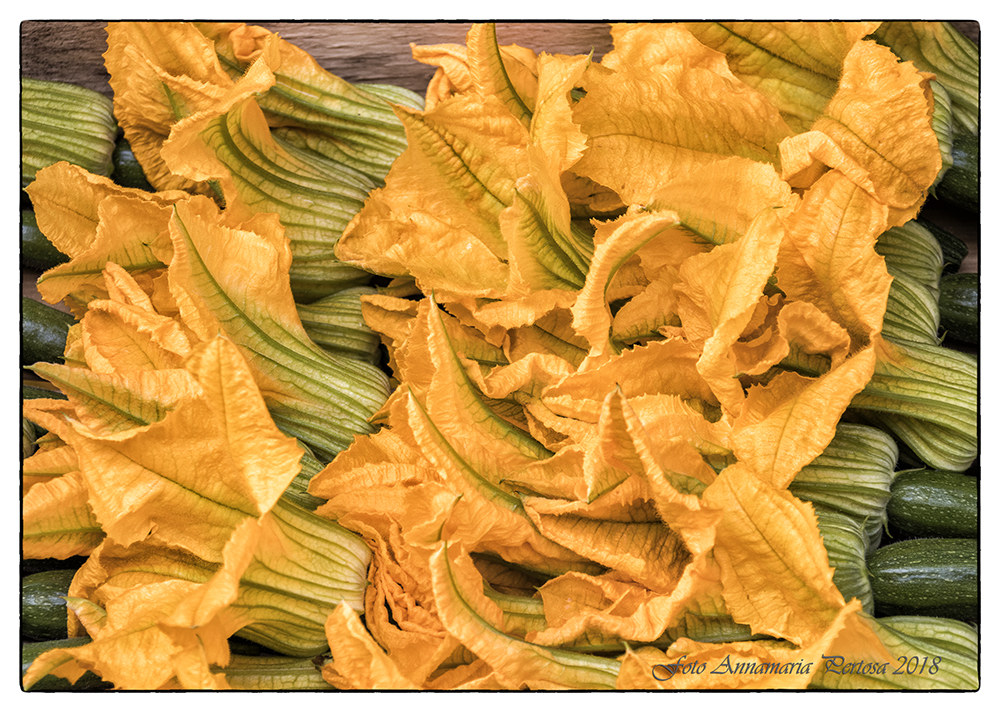 Fiori di zucca e di zucchine
