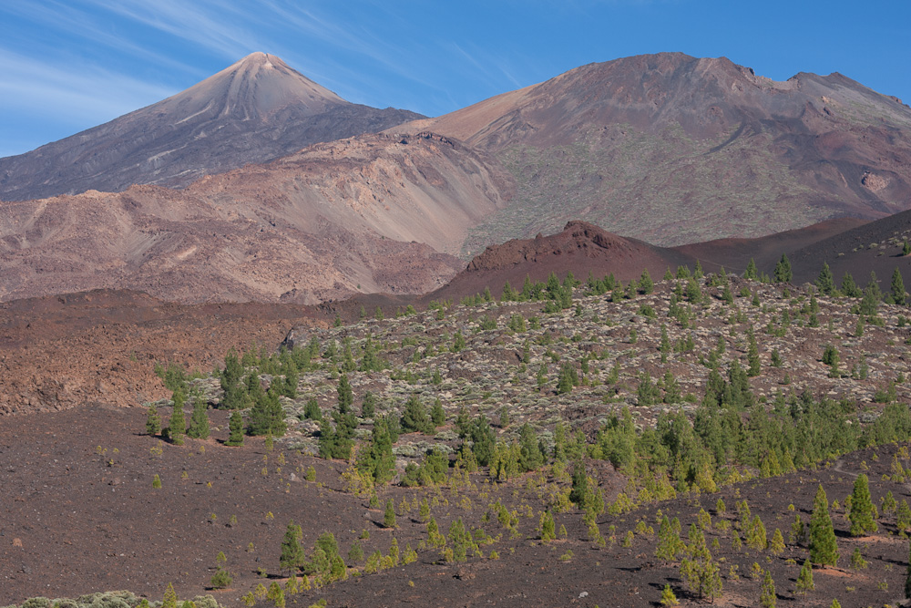 "Teide"