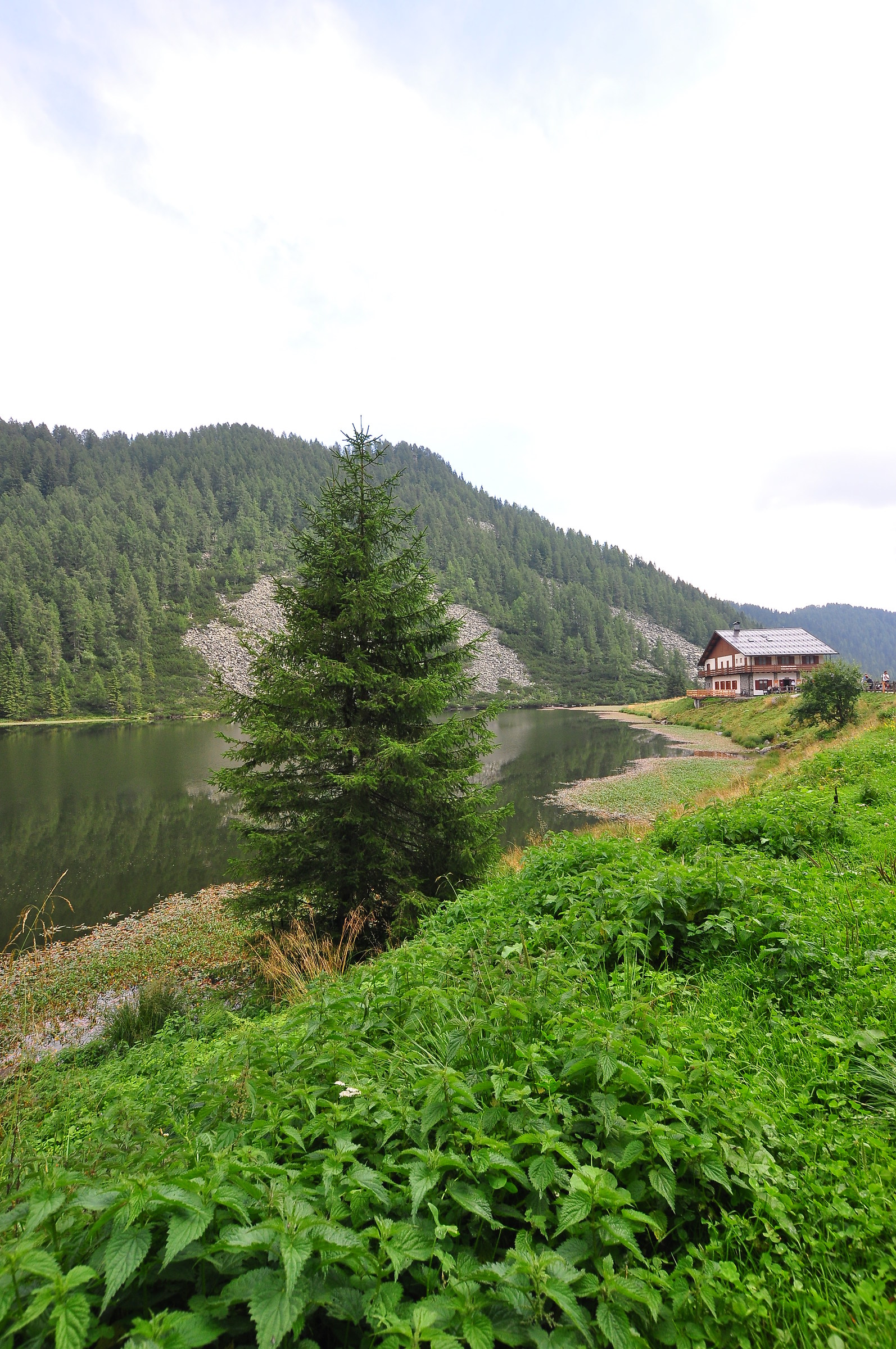 Calaita Lake, with refuge (San Martino di Castrozza)