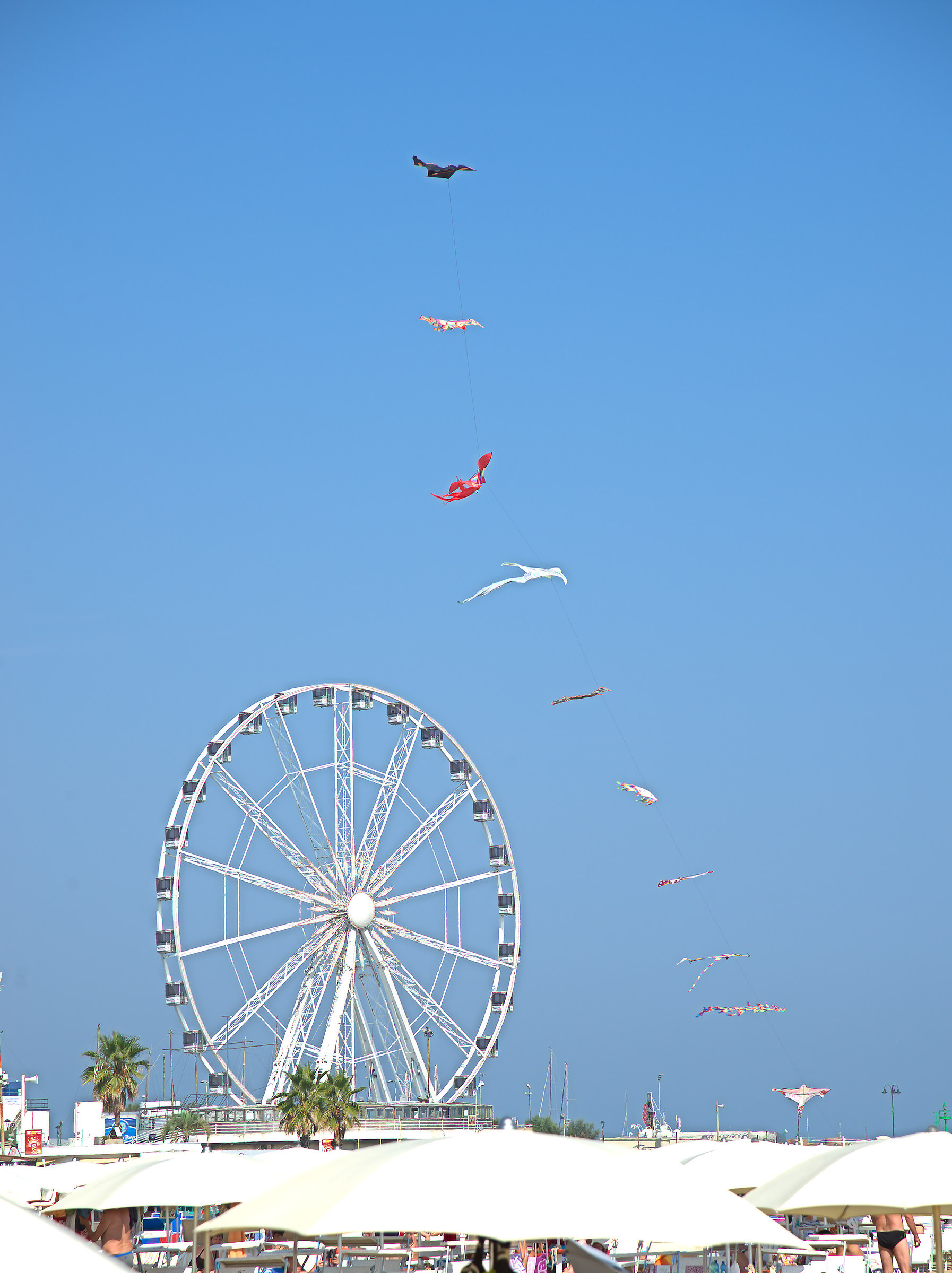 Per sognare... un aquilone... una ruota...