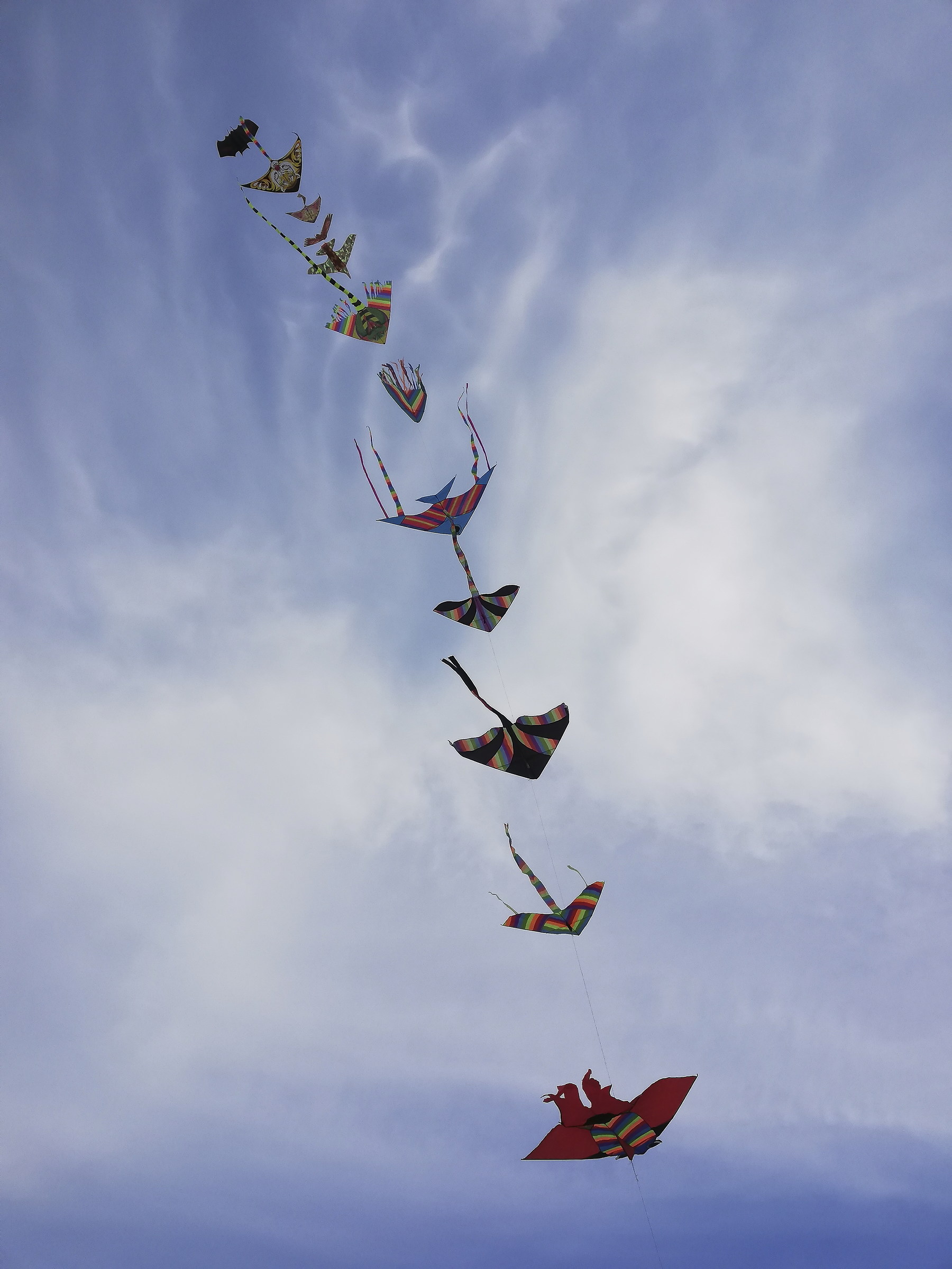 Ritorneranno gli aquiloni a  farci alzare la testa.