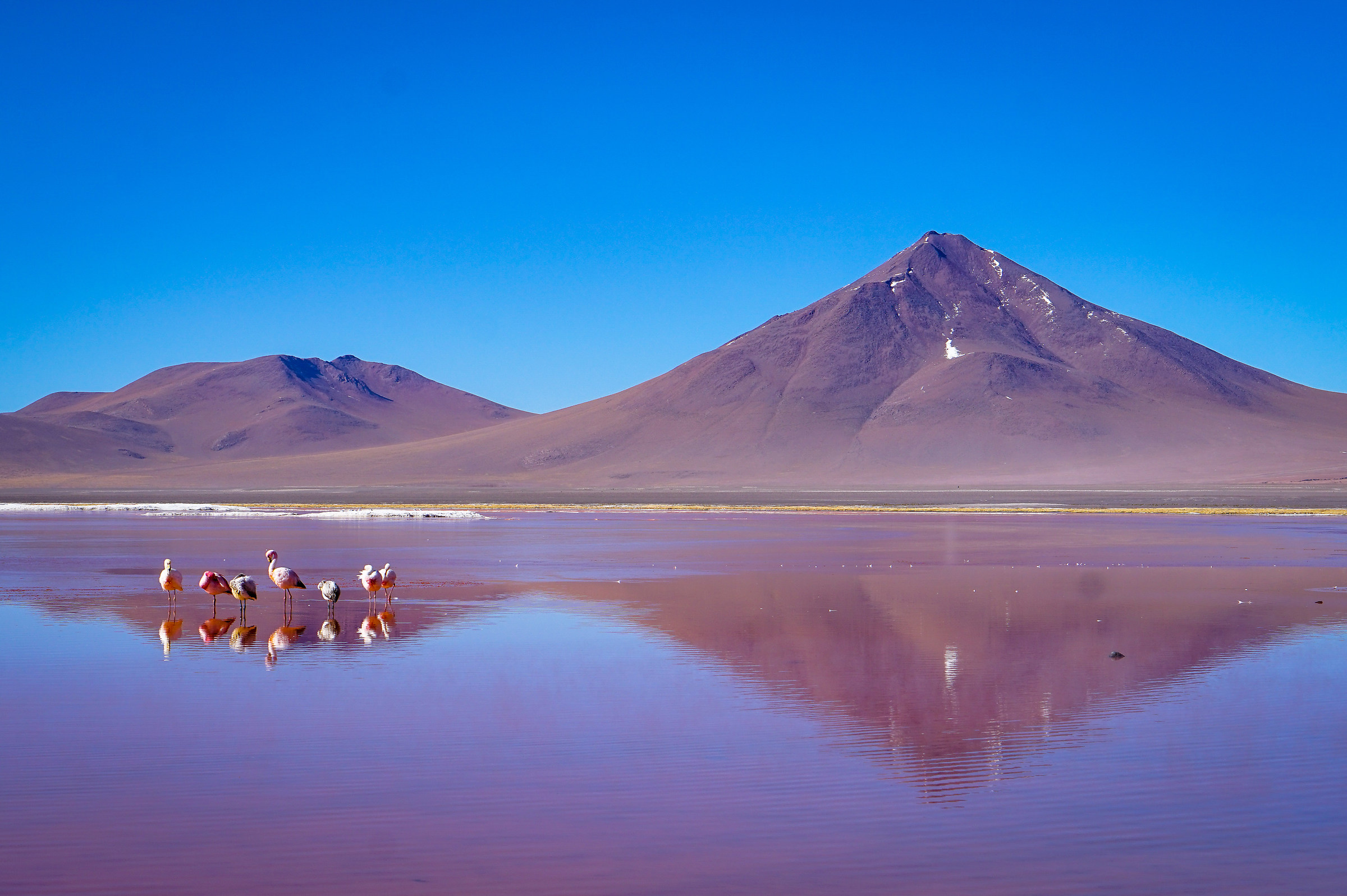 Laguna Colorada