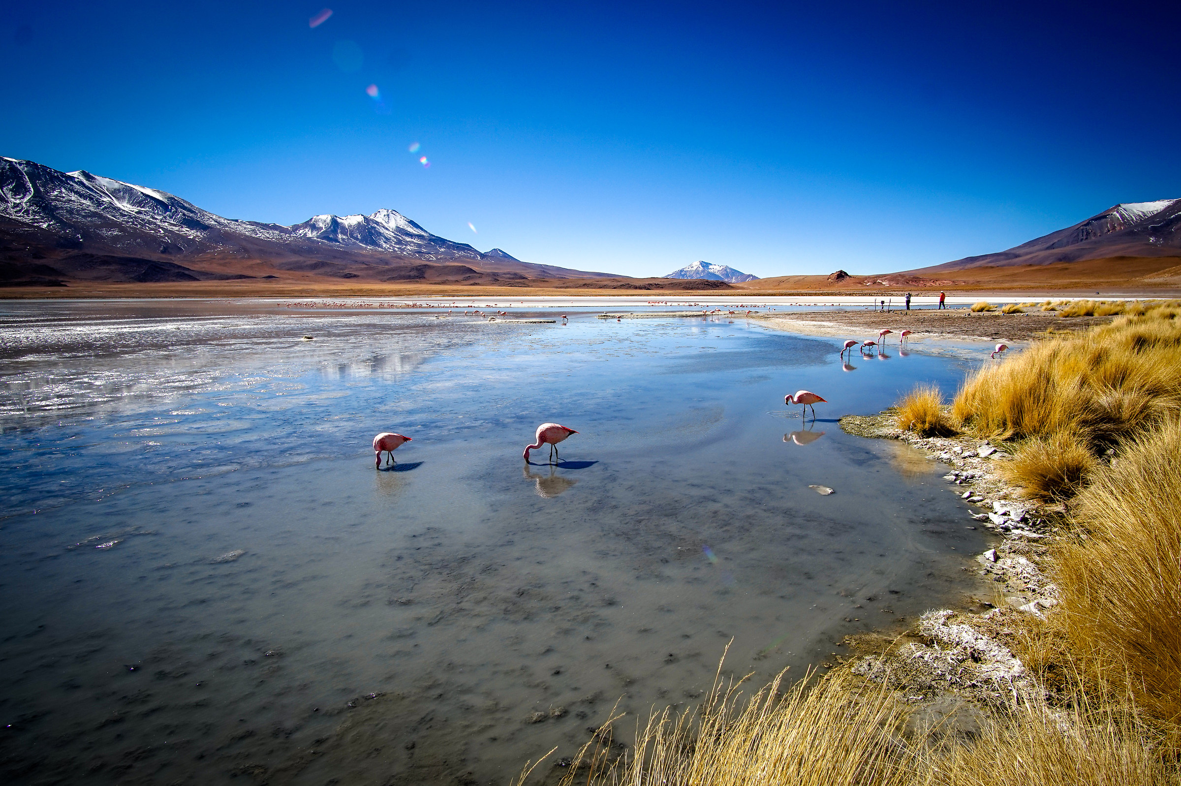 Laguna Hedionda-4,100 m