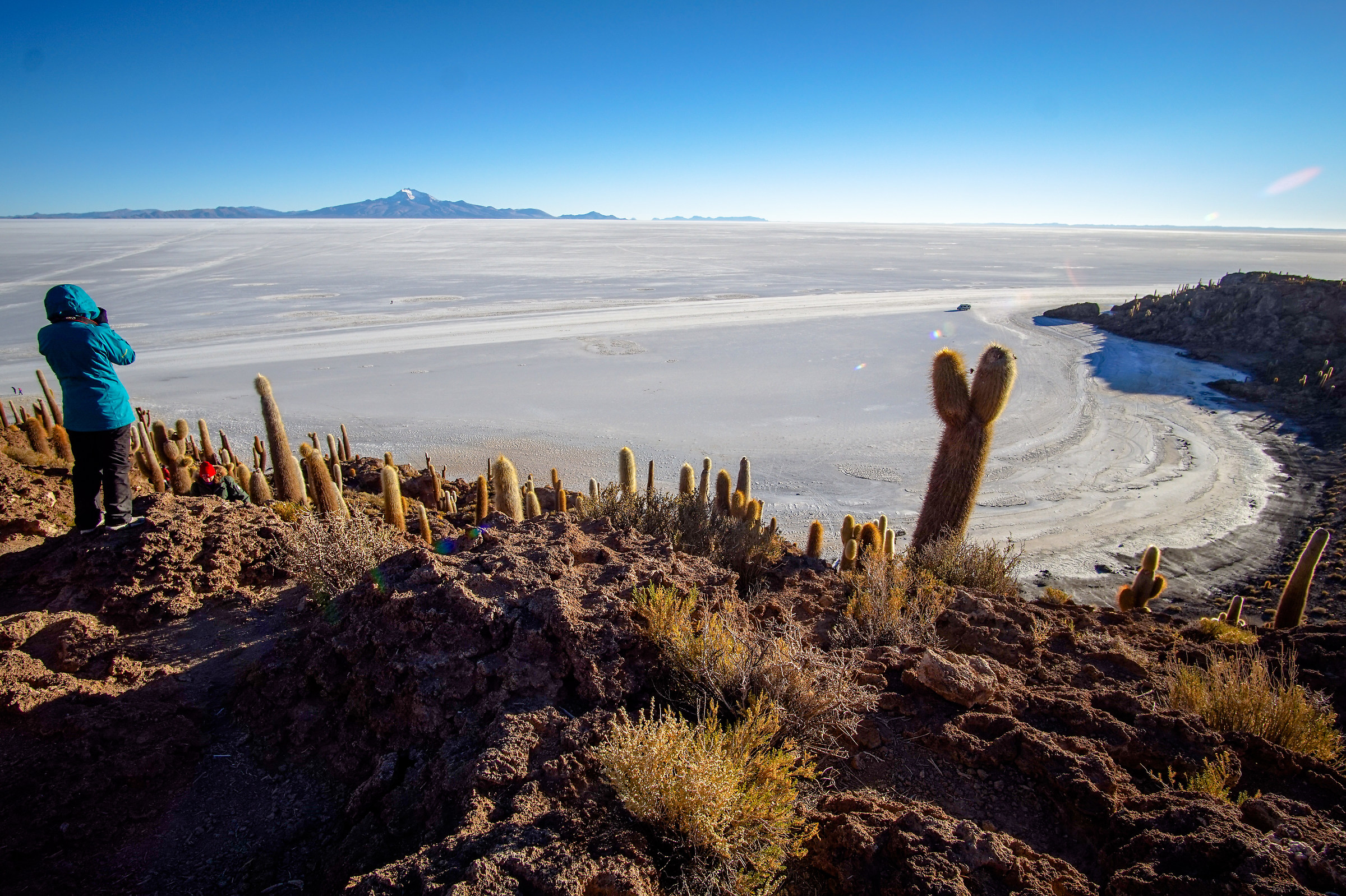 Isla del pescado - Salar de Uyuni