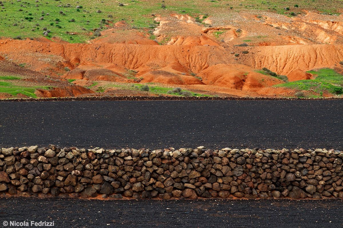 Coltivazioni di Lanzarote
