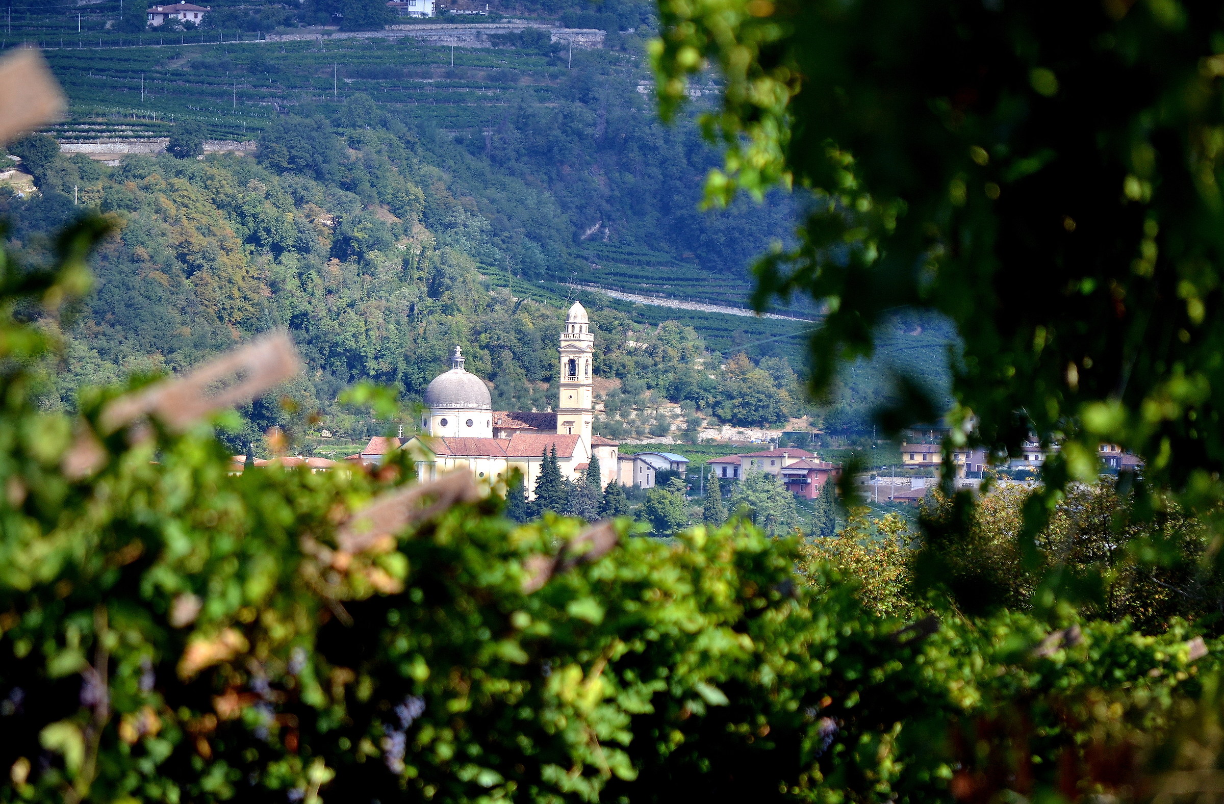 Marano di Valpolicella