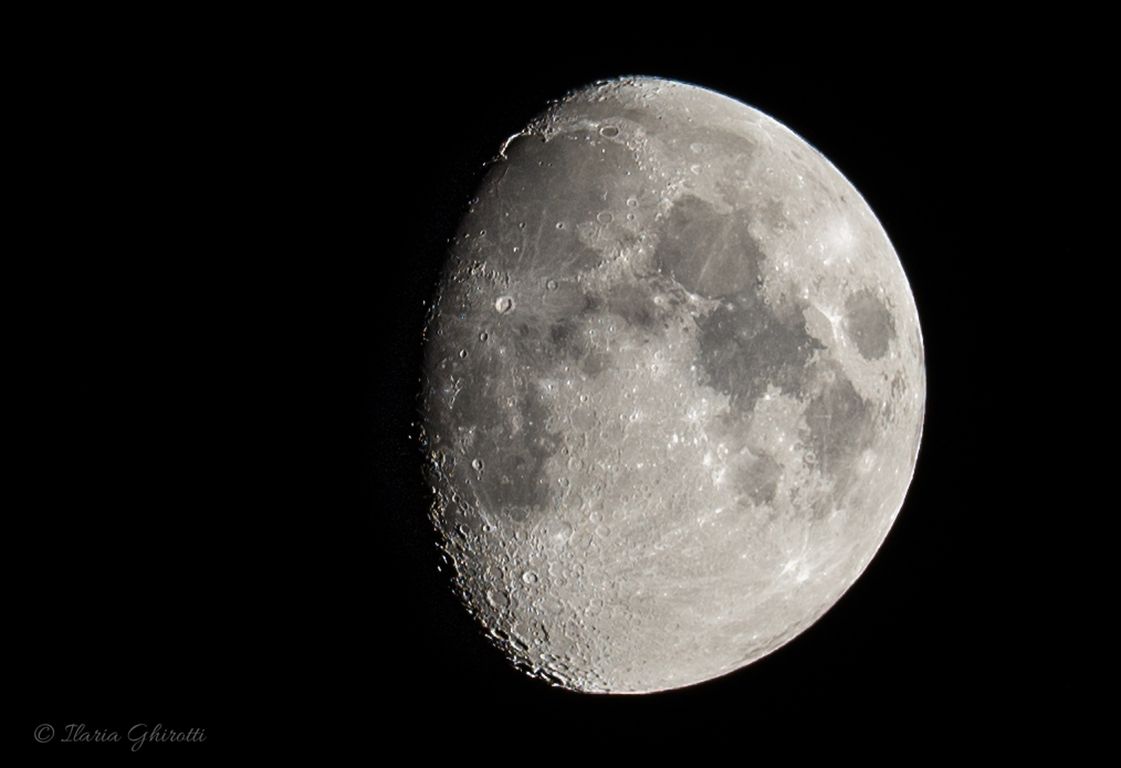 Moon Gibbosa Growing