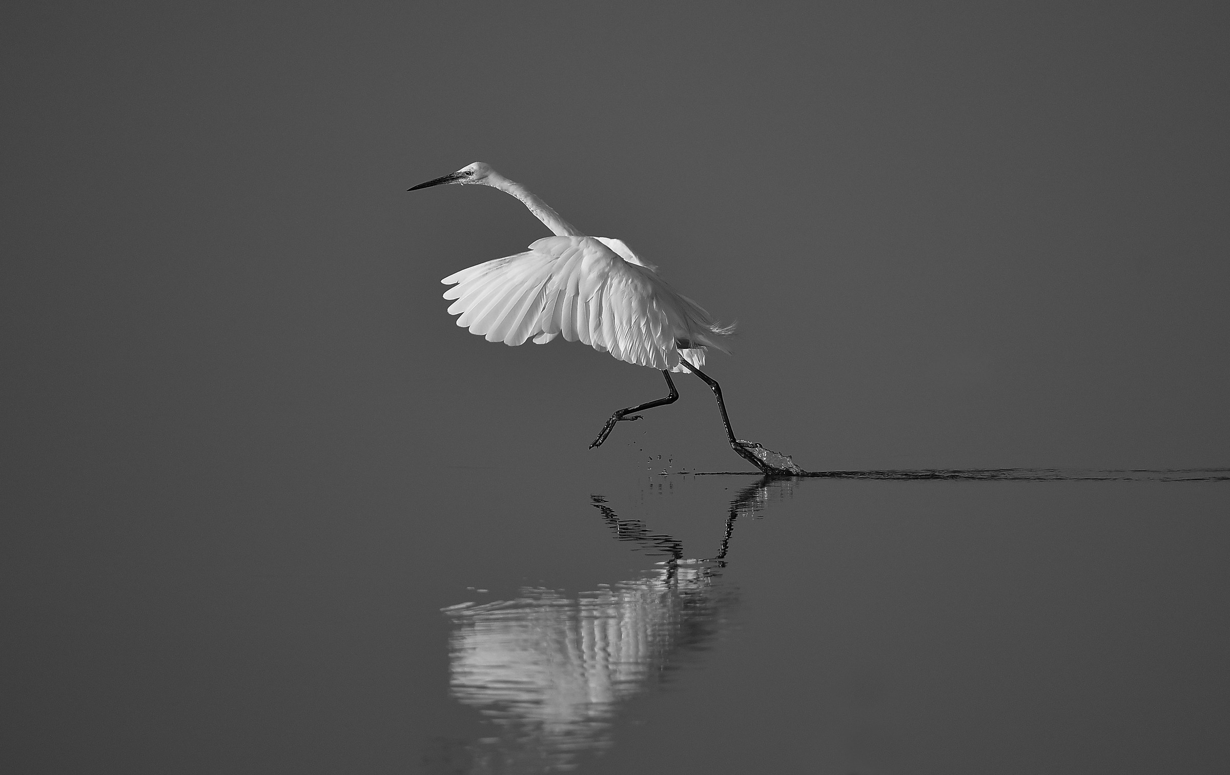 ... like a feather...