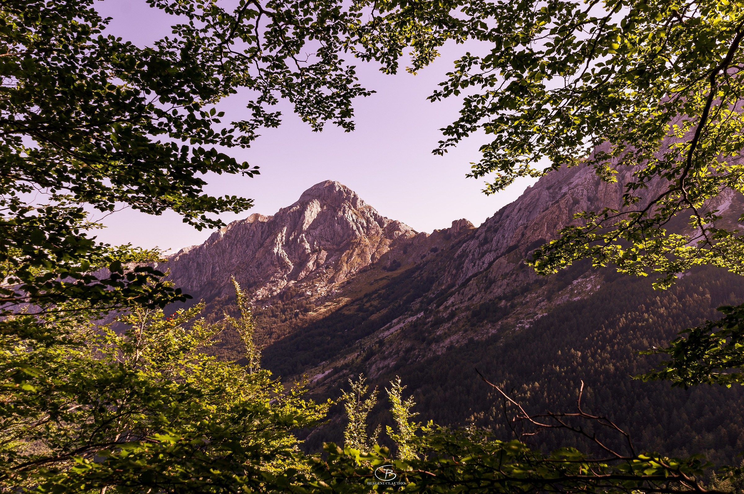 Beeches frame for Monte Pizzo D'uccello