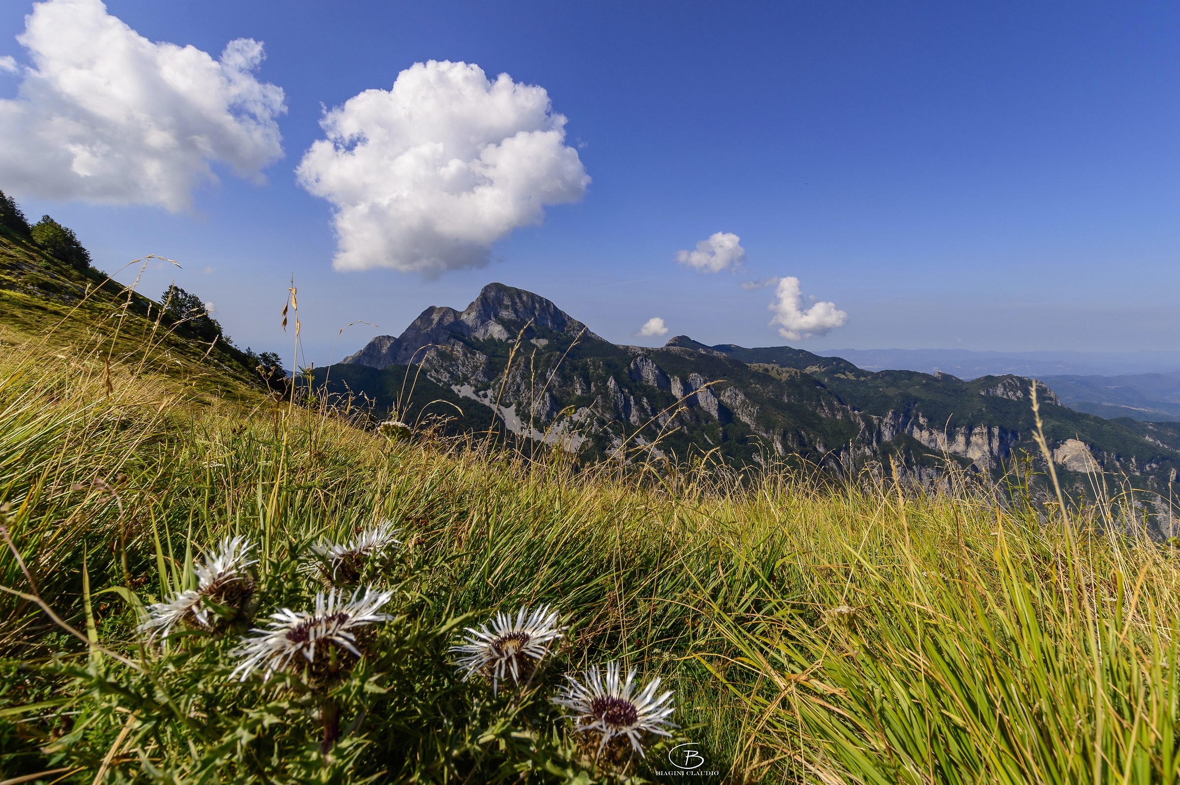 Mount Sagro from the mouth of Giovo