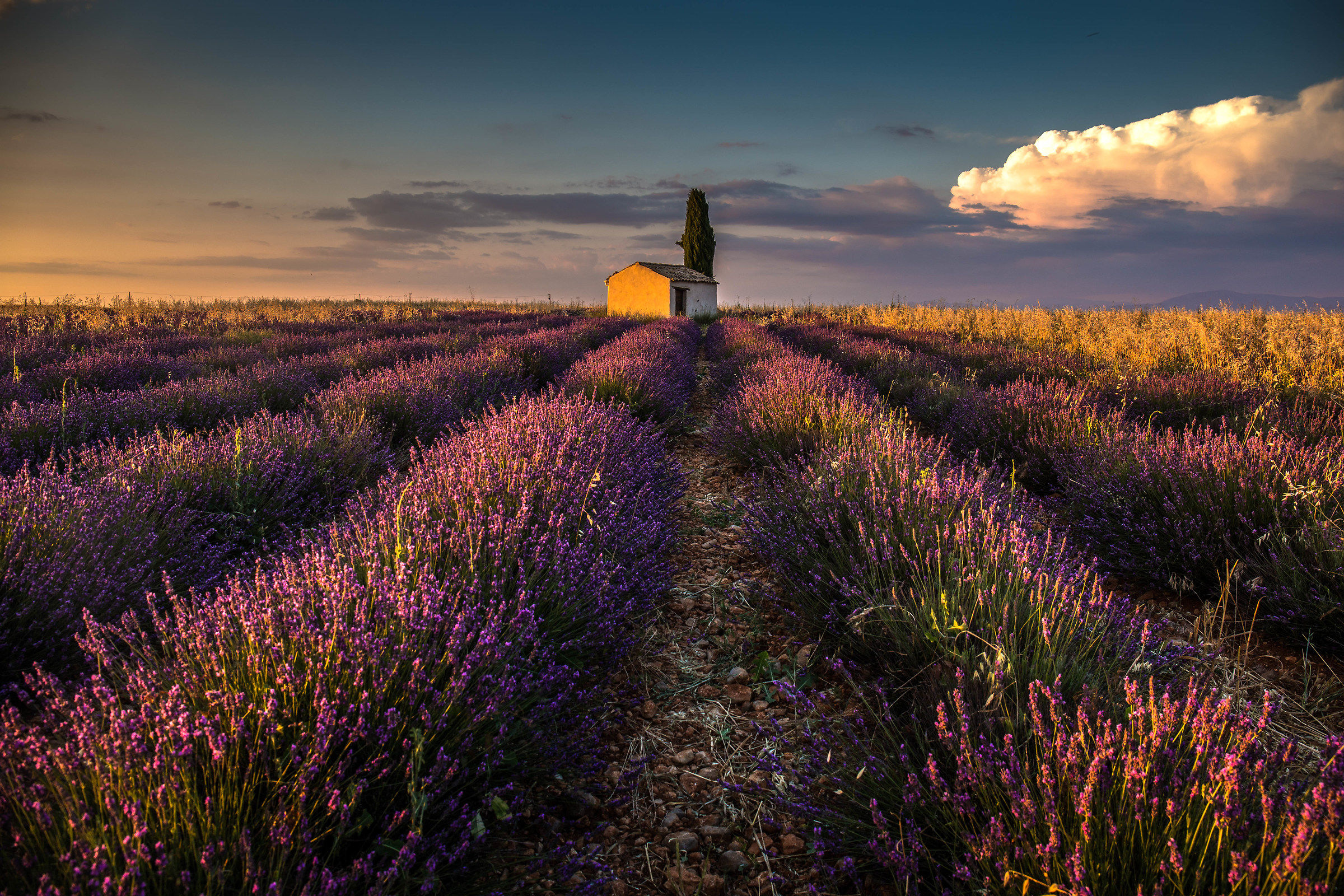 Ultime luci a Valensole