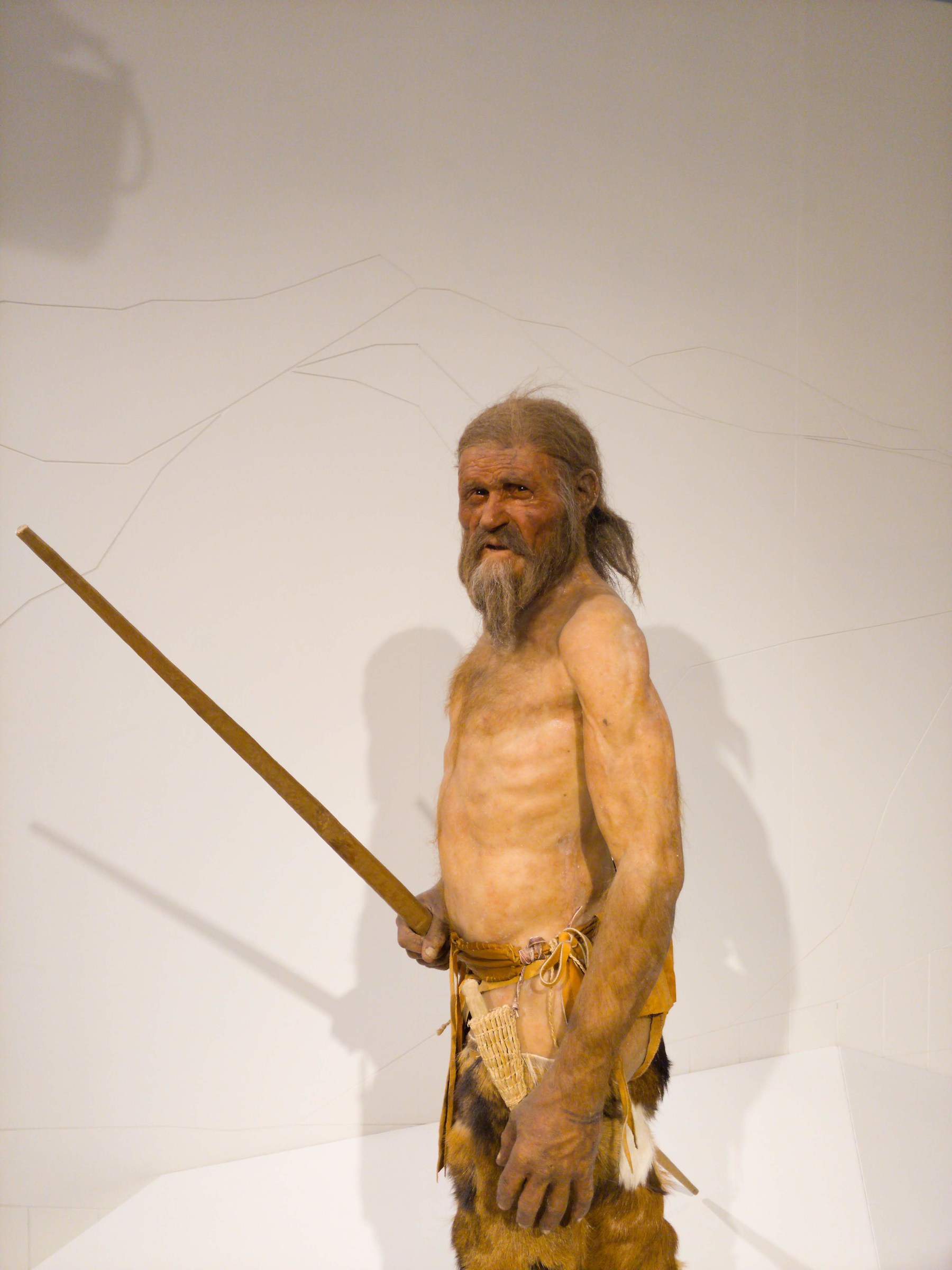 Otzi, the man who came from the ice