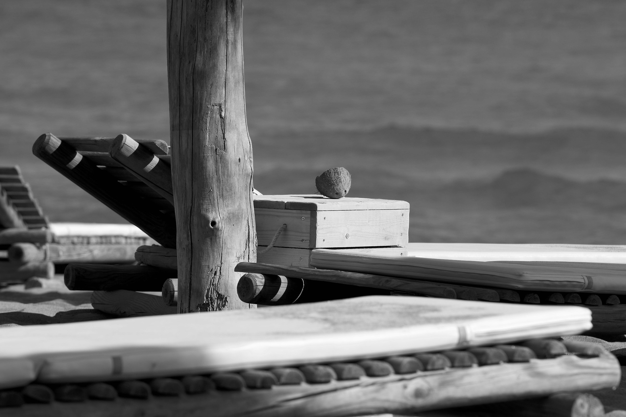 Legno in tante versioni