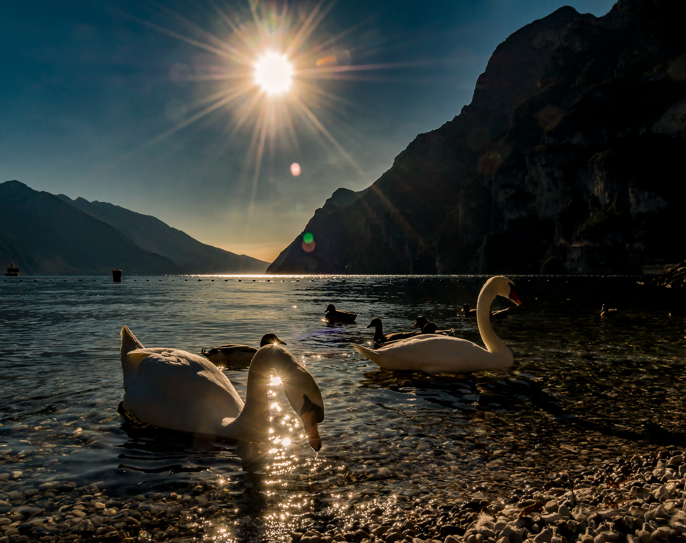 Backlighting on the lake