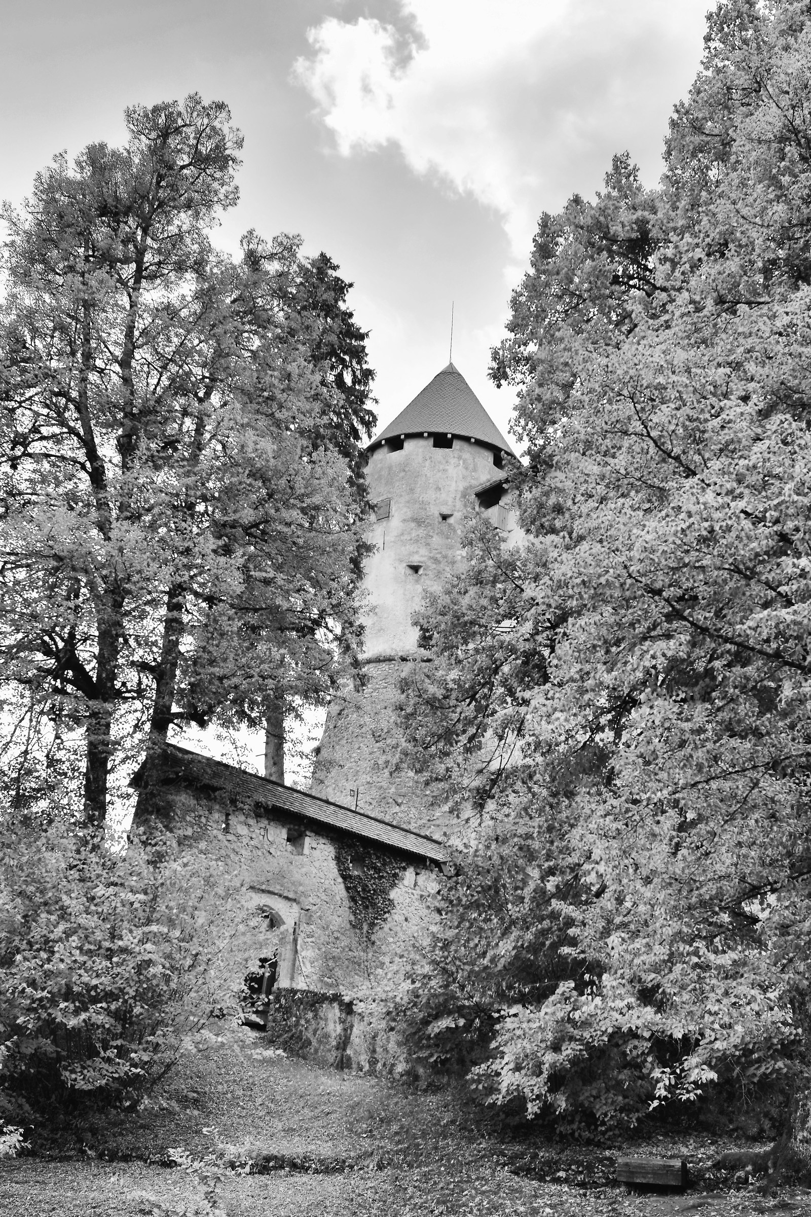 Castello di Bled