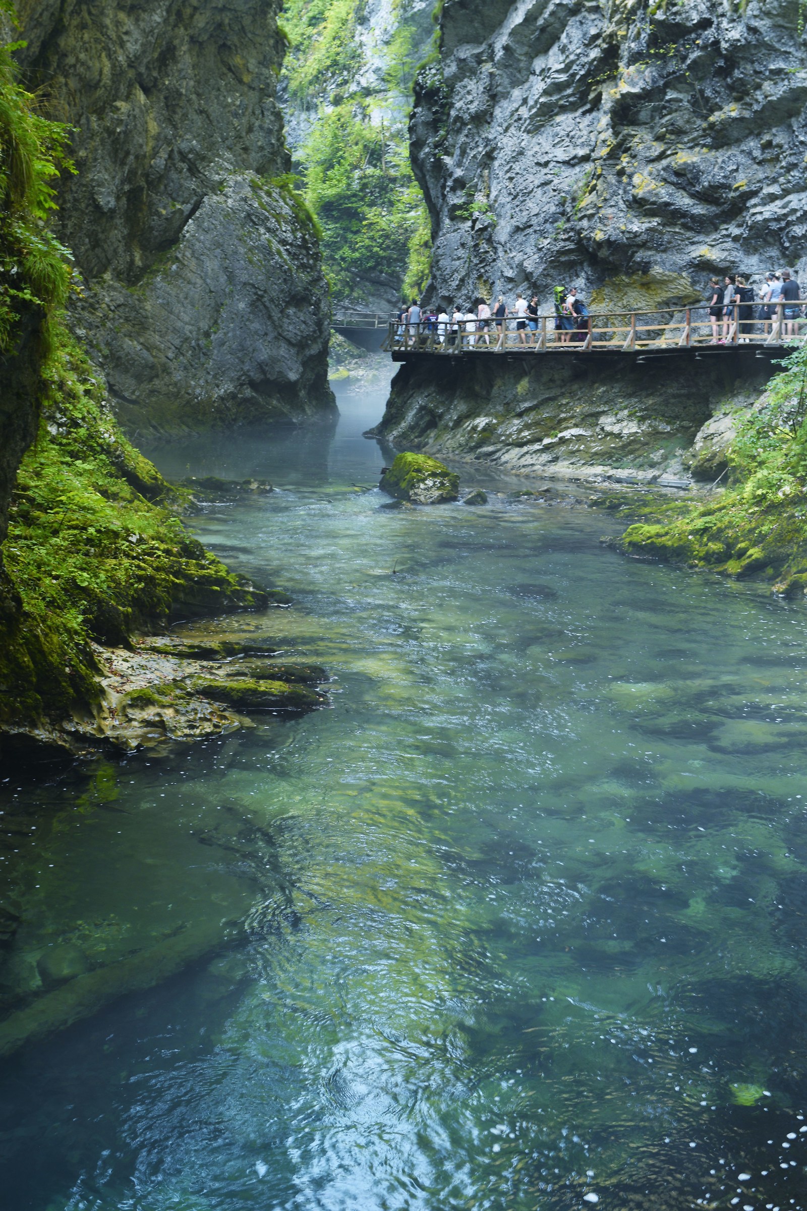 Vintgar gorges (Slo)