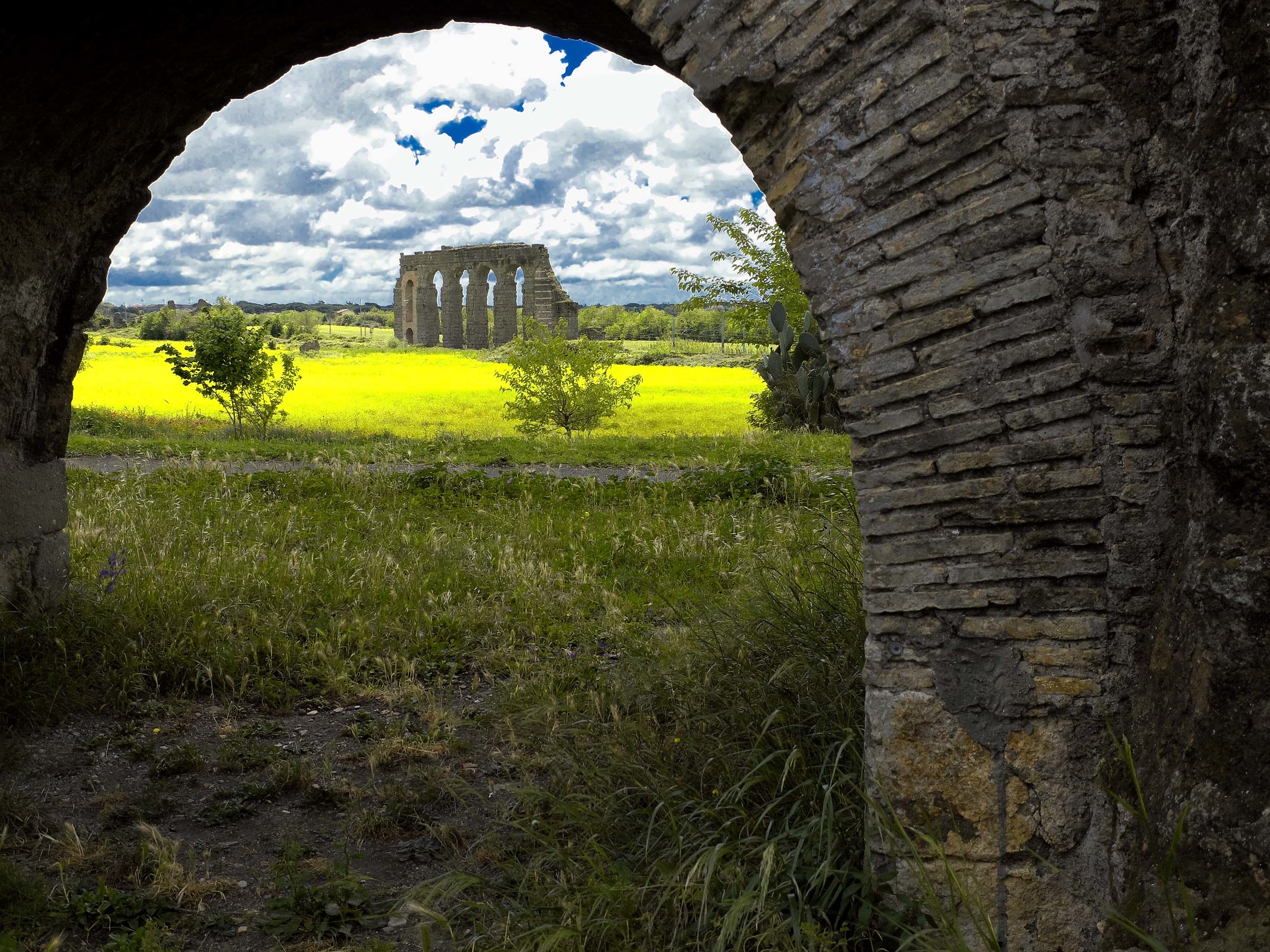 The grass of the neighbor is always greener