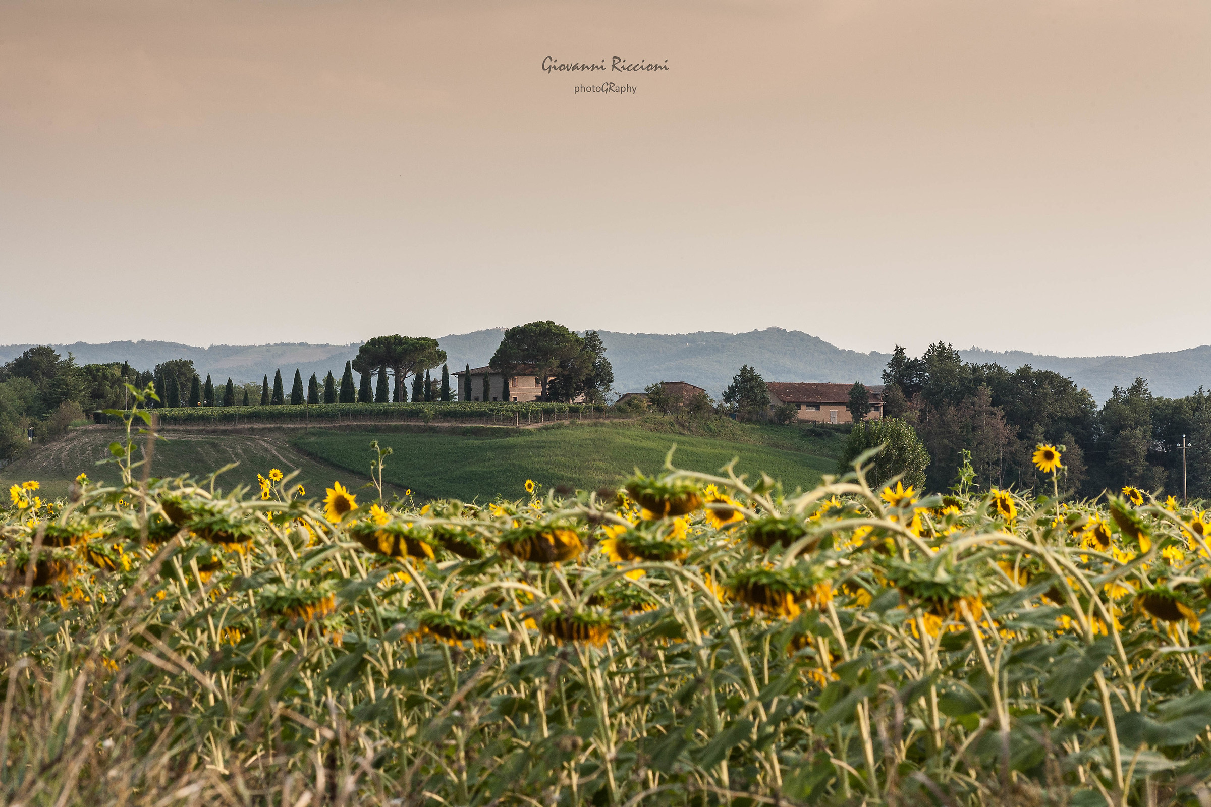 Tuscany frames