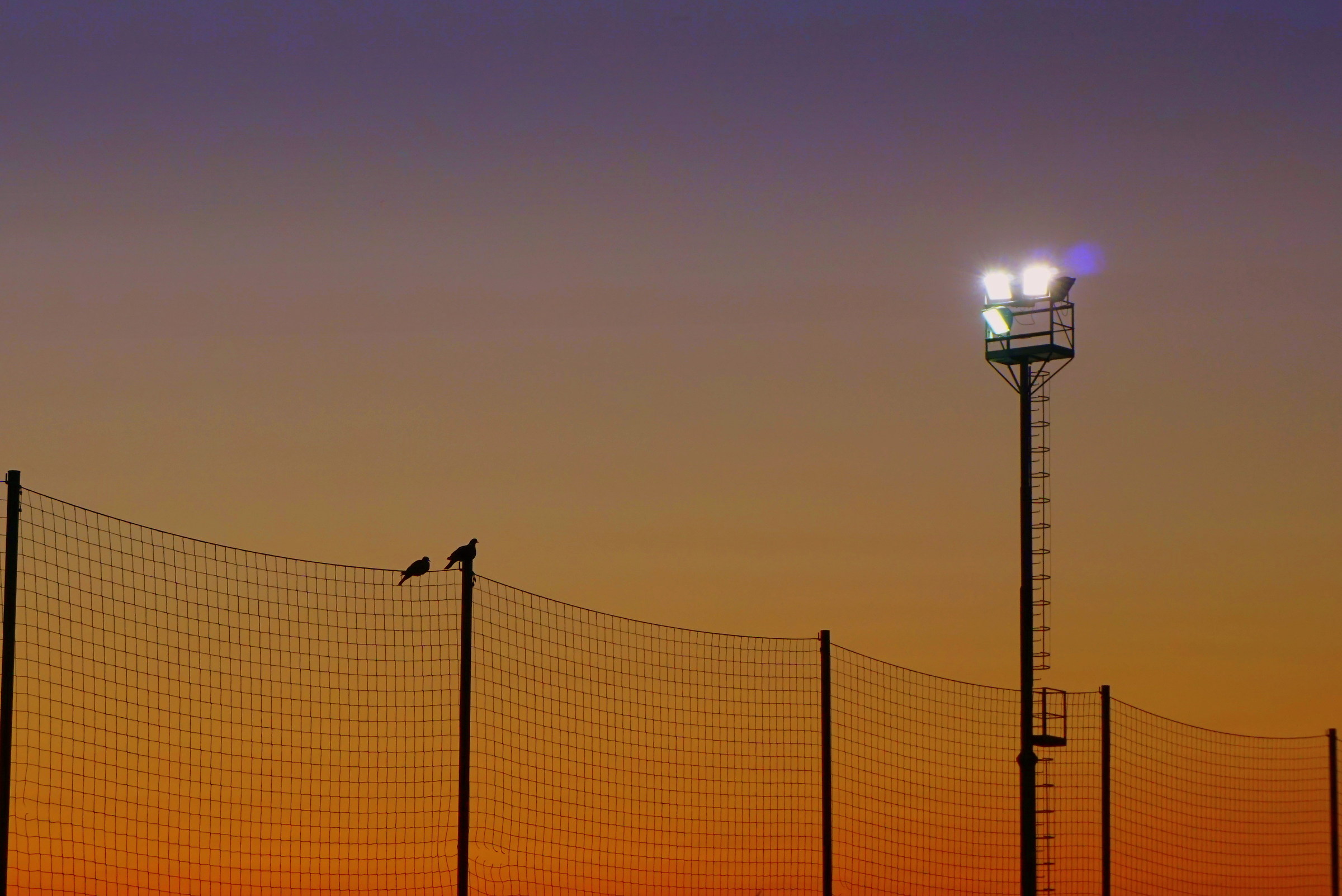 Protagonists for one evening