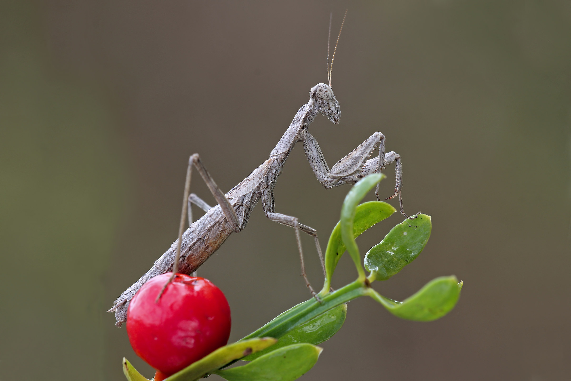 Colori....importanti !!!