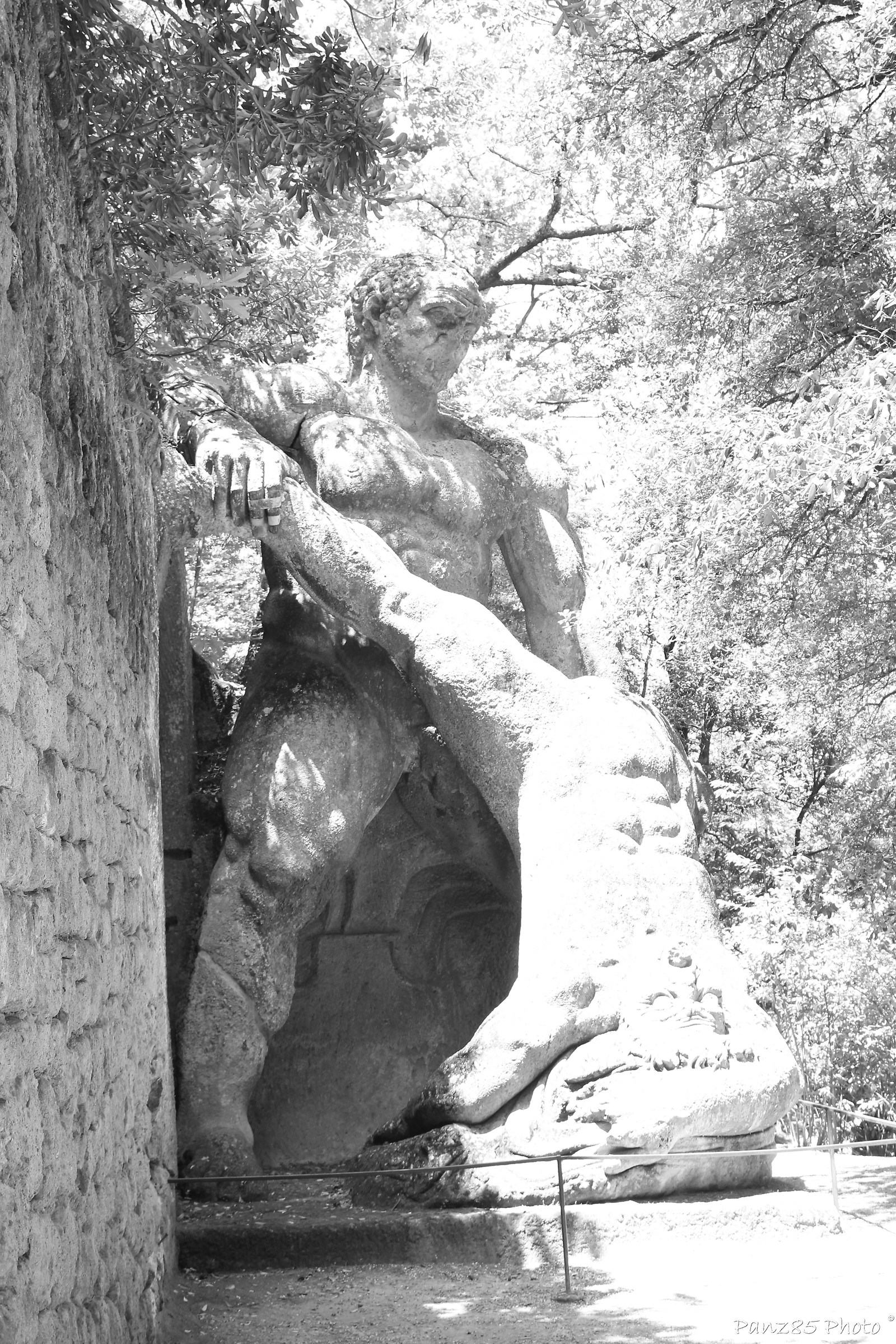 Fight between Giants