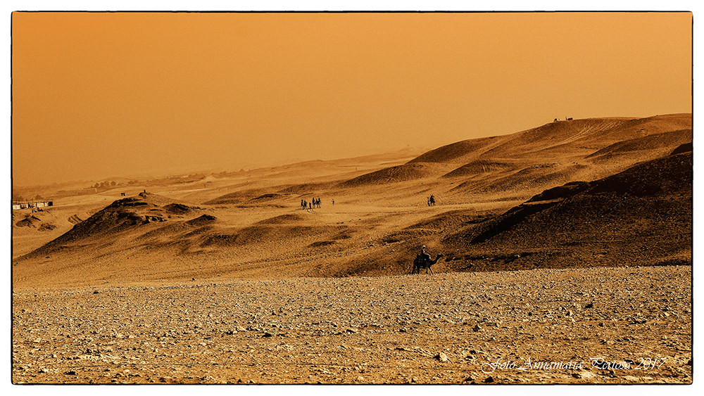 The charm and silences of the desert