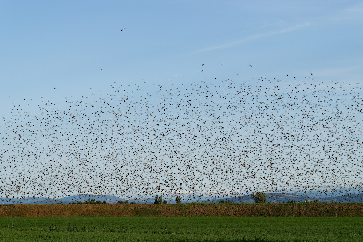 I have to clean the sensor.....