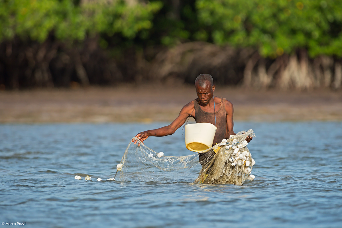 The fisherman of the lagoon