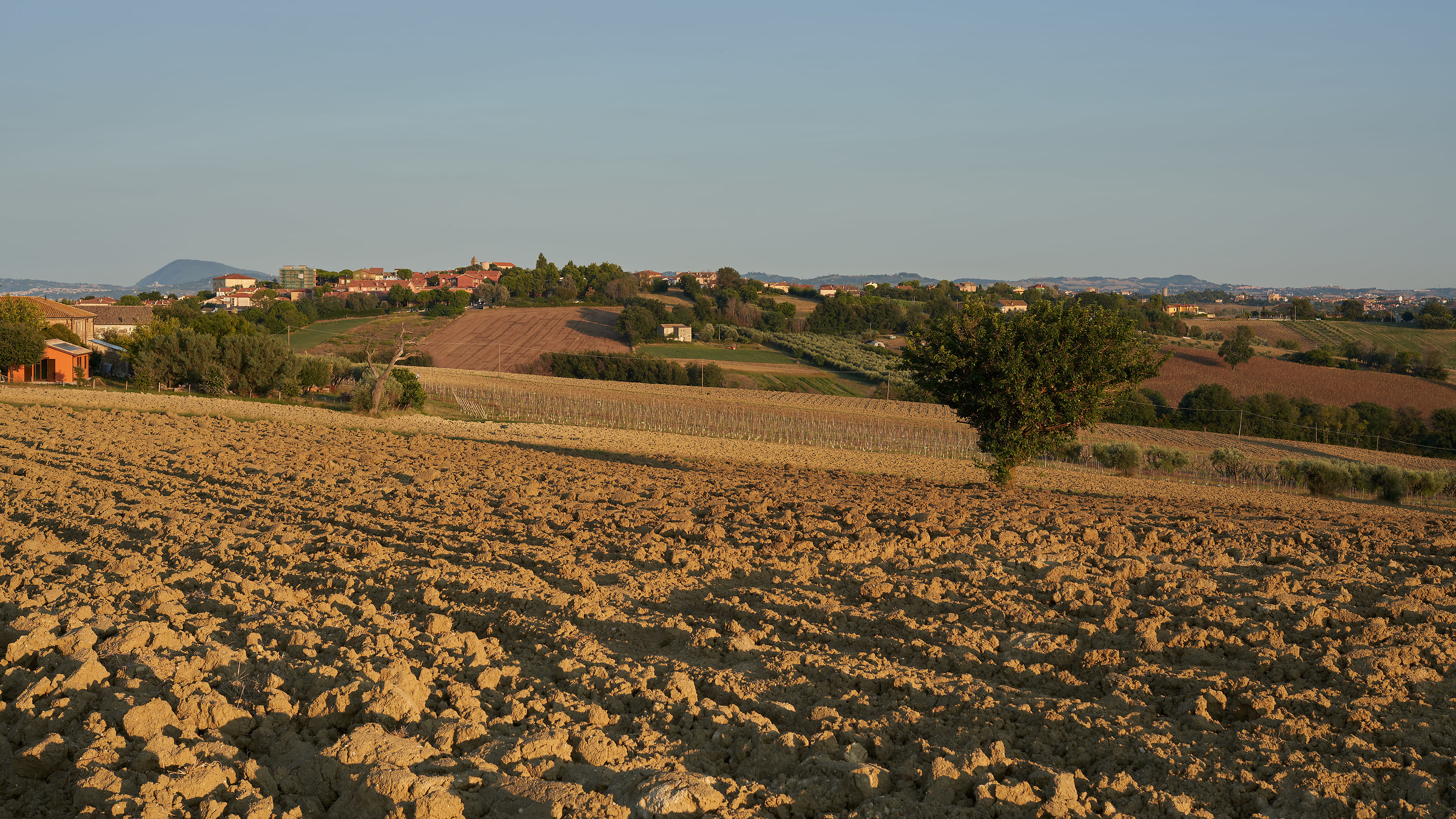 Montignano e Conero in lontananza