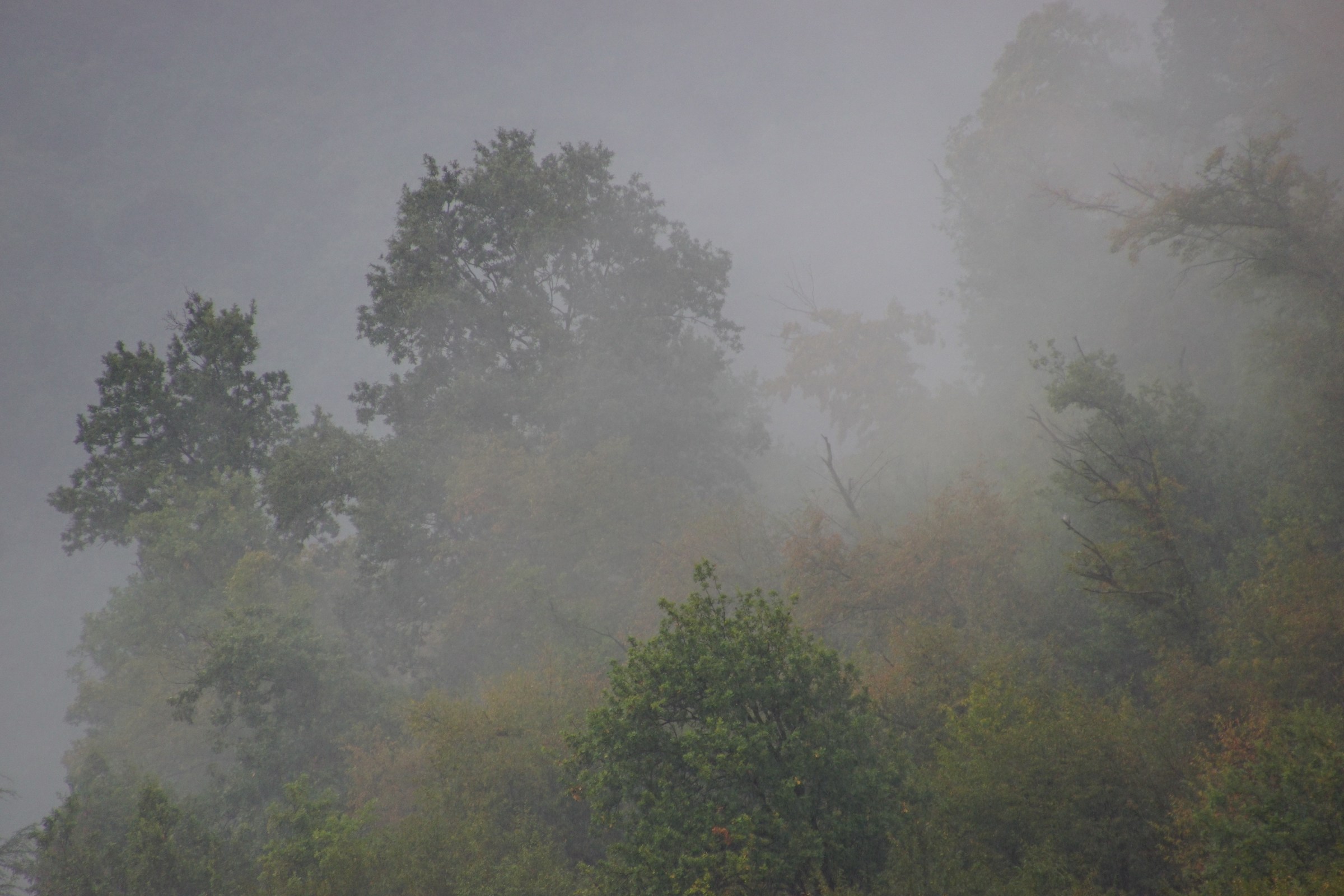 Low clouds in San Michele