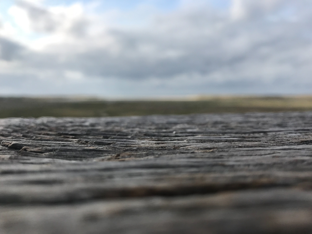 On the table at the North Sea