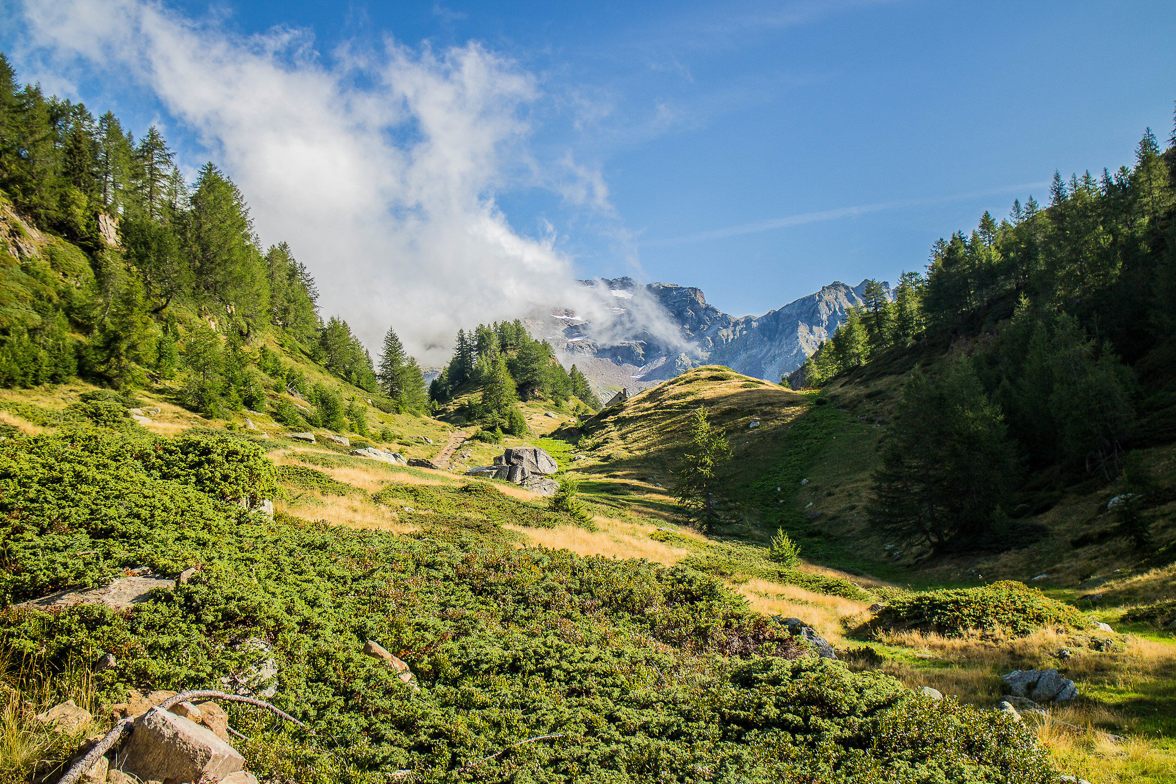 Verso Alpe Forno m2222 Devero (Vb)