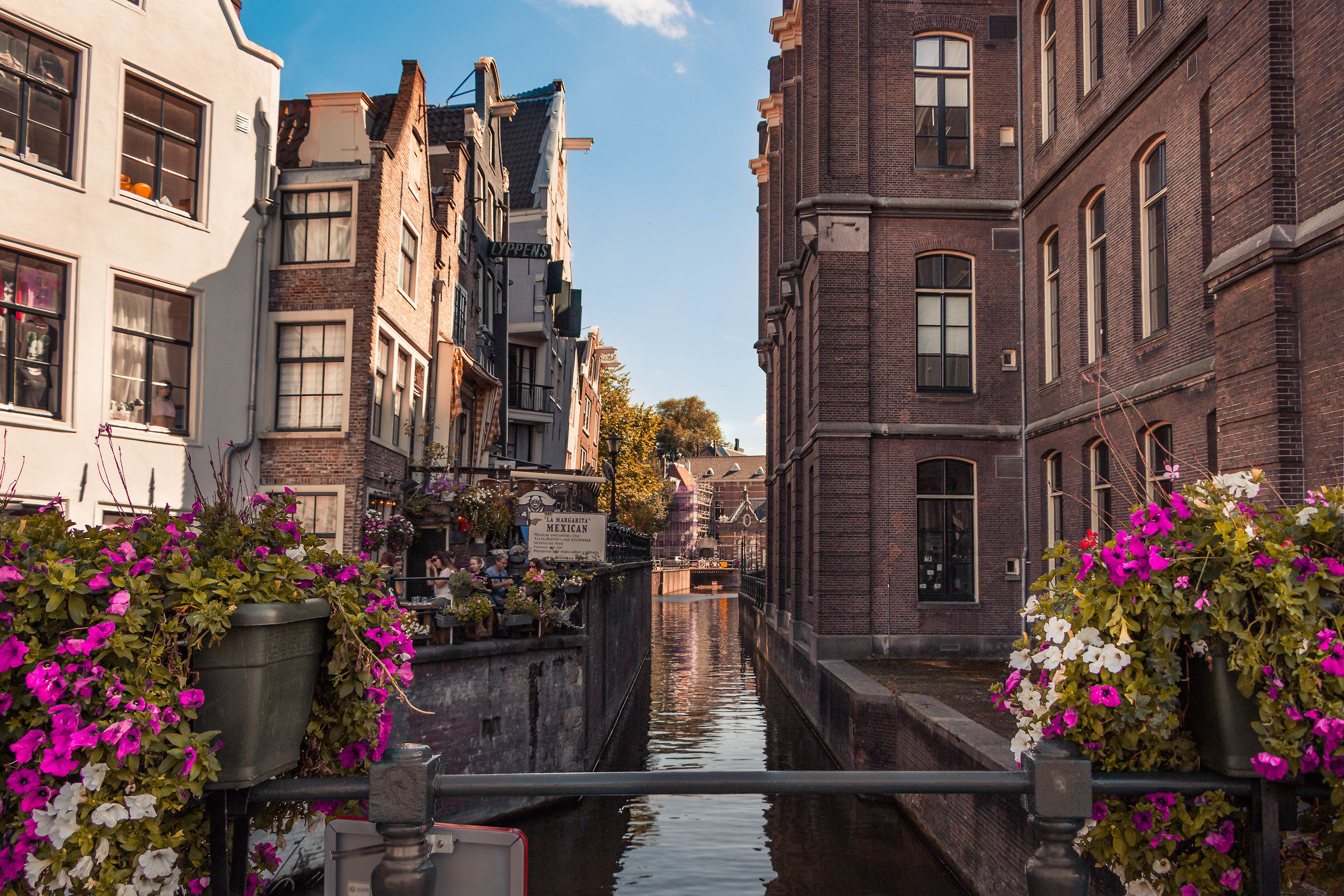 Glimpse of Amsterdam