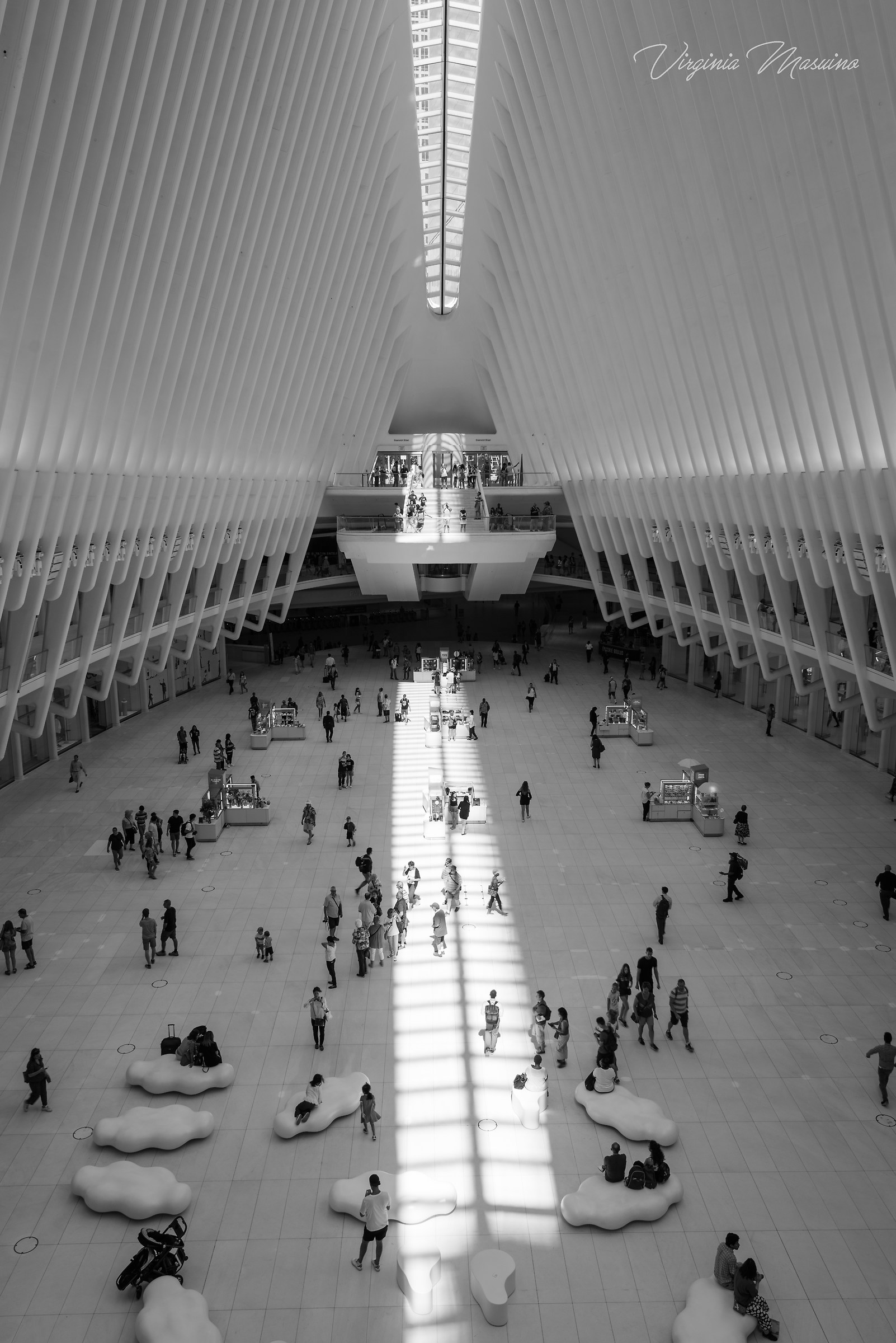 The Oculus at the World Trade Center