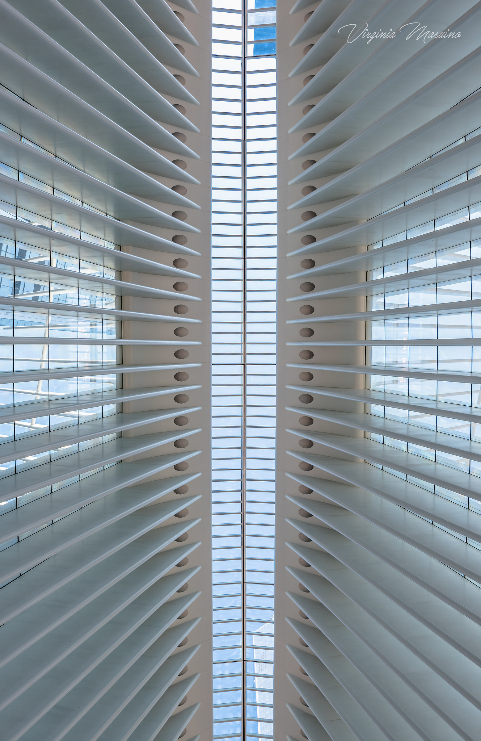 The Oculus at the World Trade Center