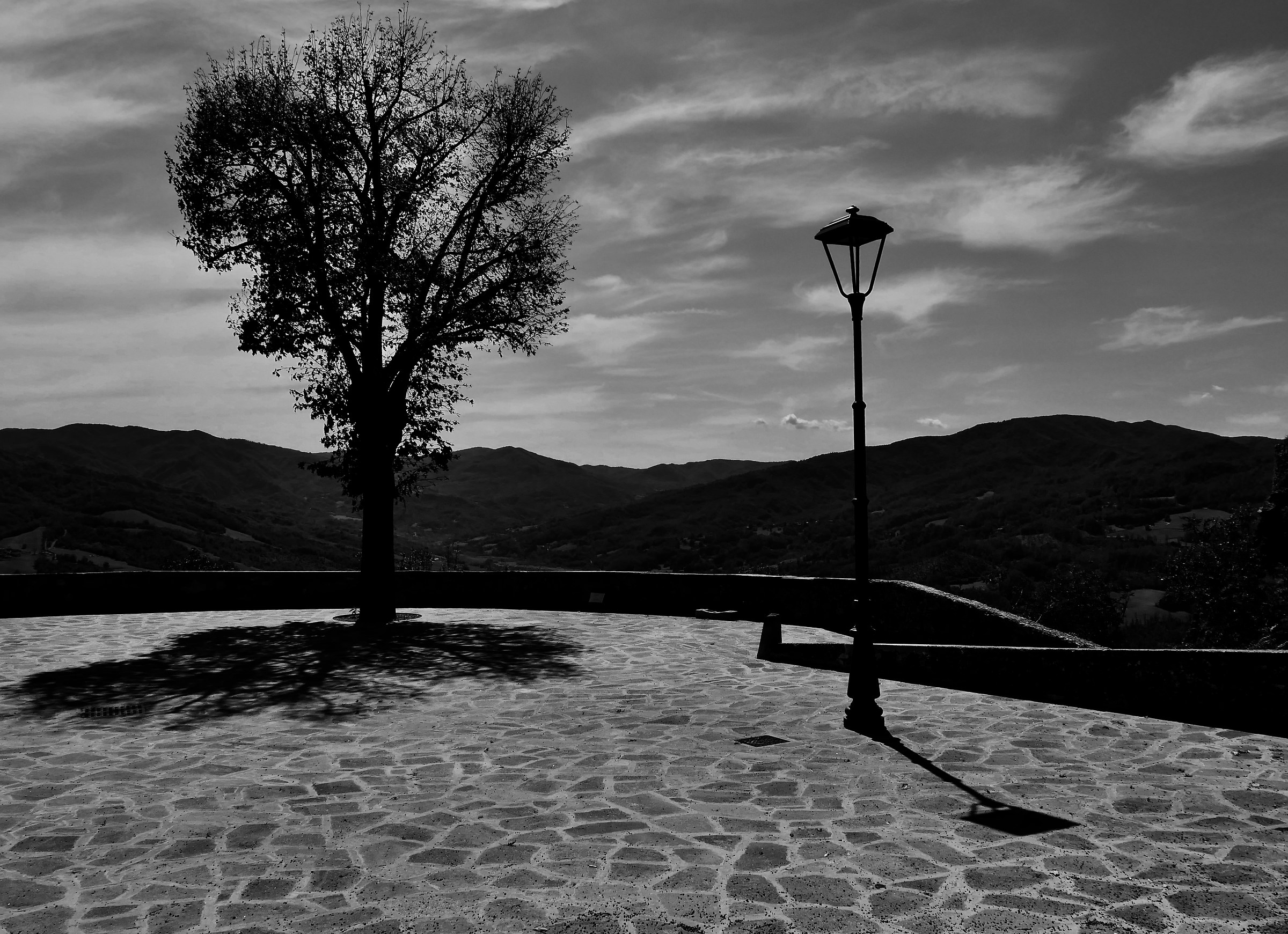 L'albero e il lampione