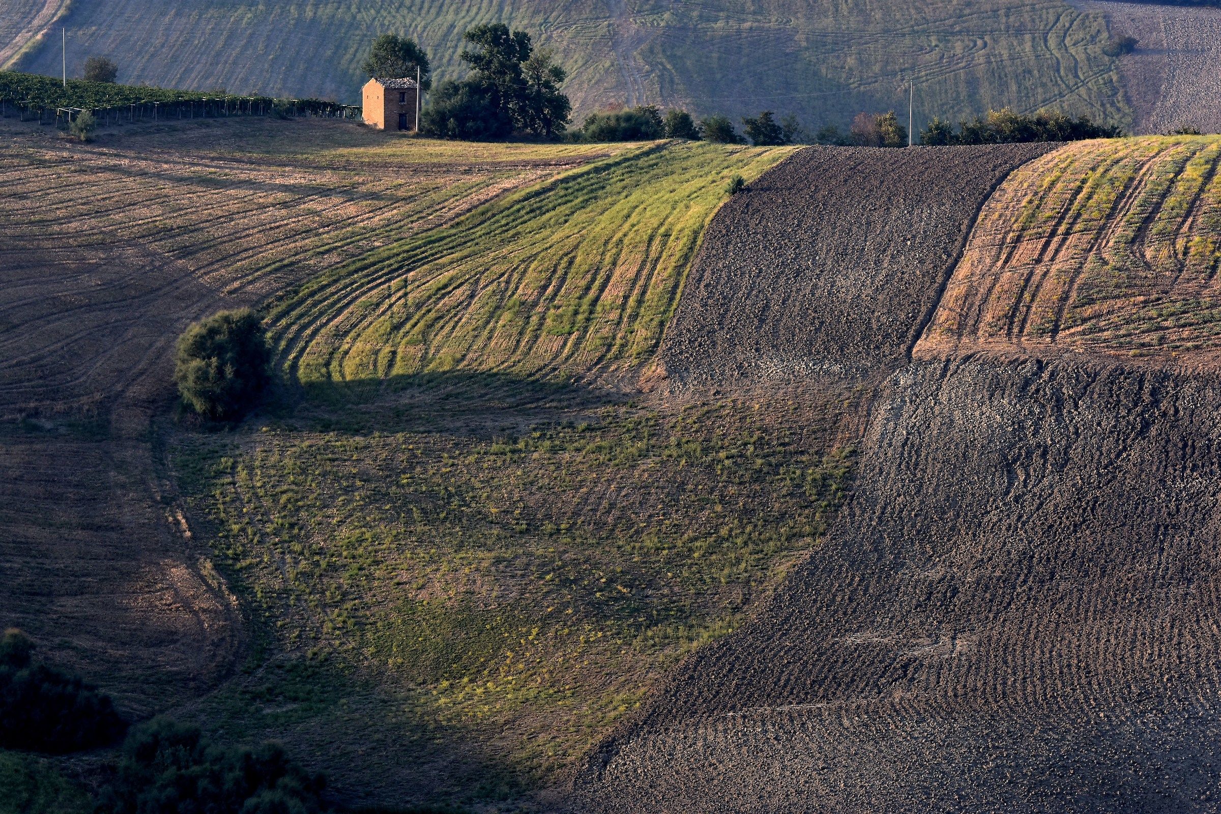 by touching the grooves