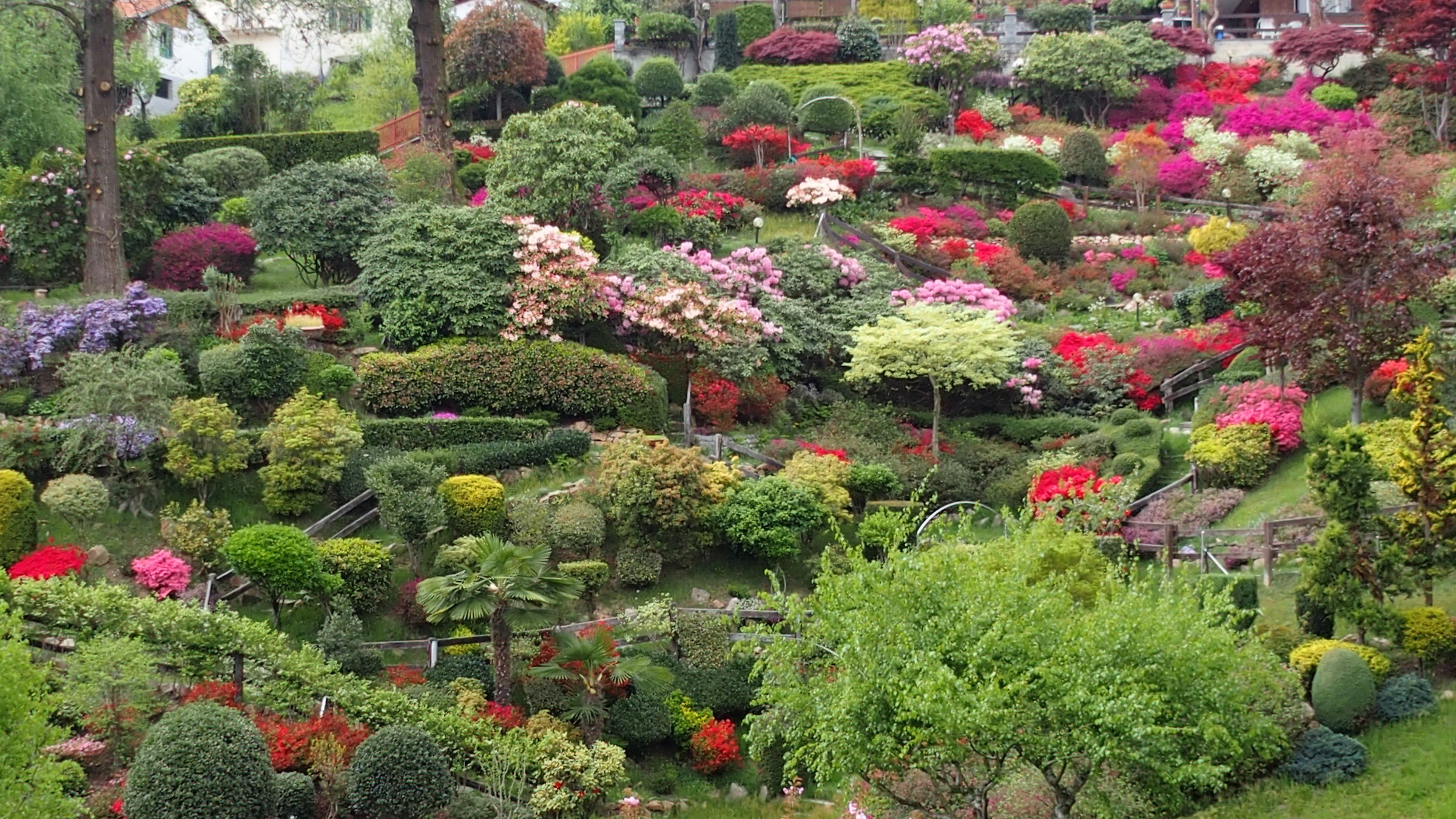 giardino multicolori