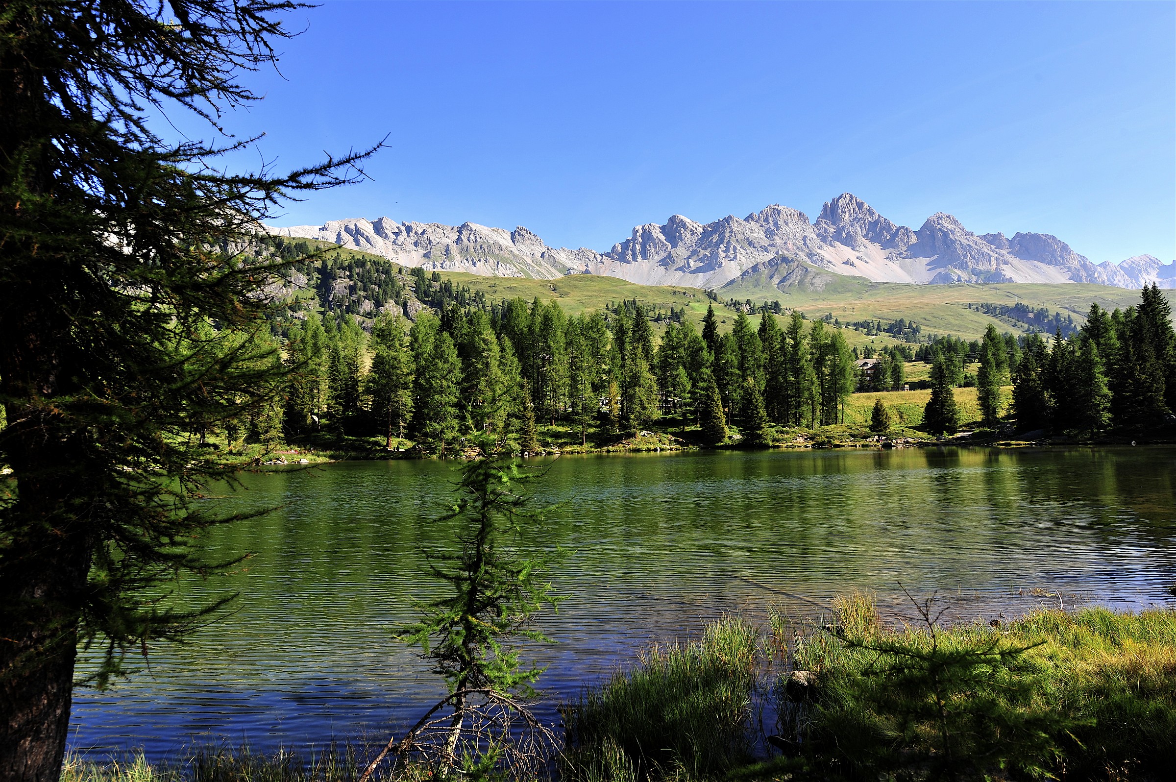 Lago a Passo San Pellegrino