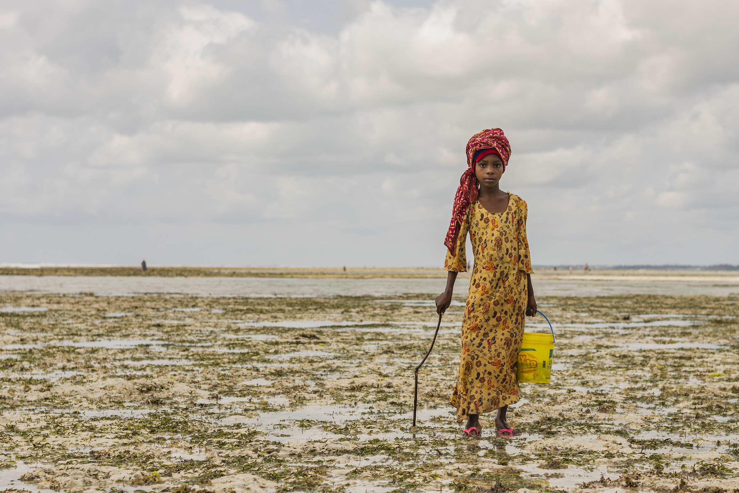 Little girl Harvesting algae