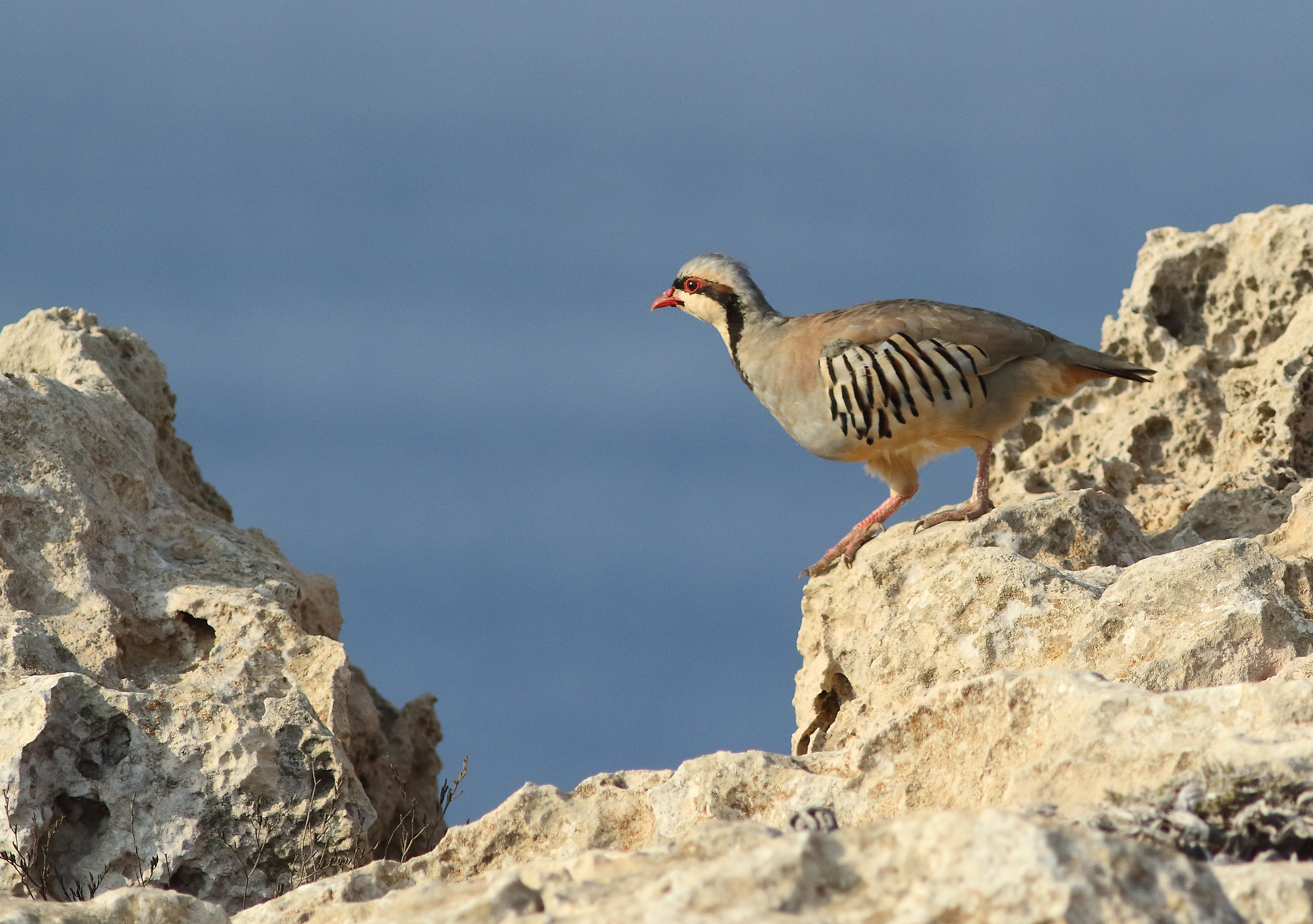 Ready to dive into the void