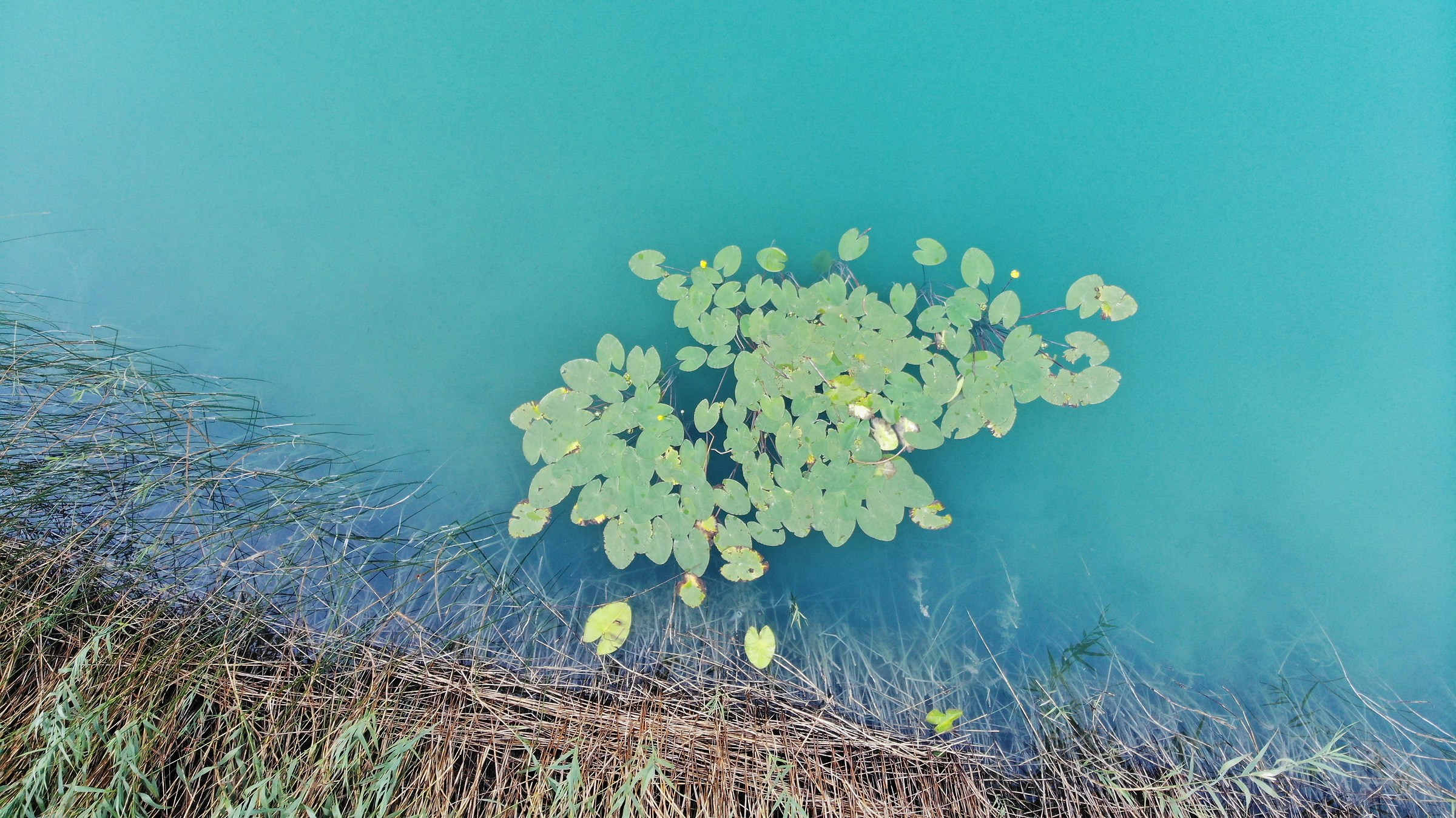 Lago di Lamar da Mavic Air
