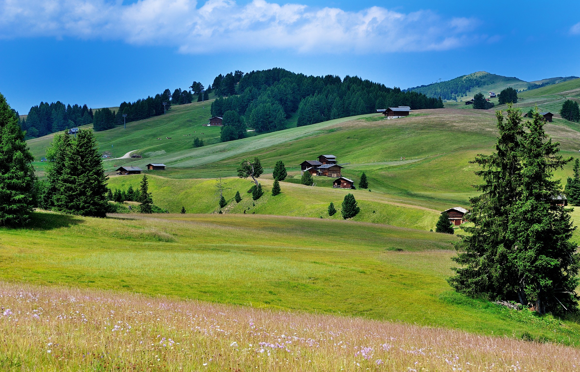 Alpe di Siusi
