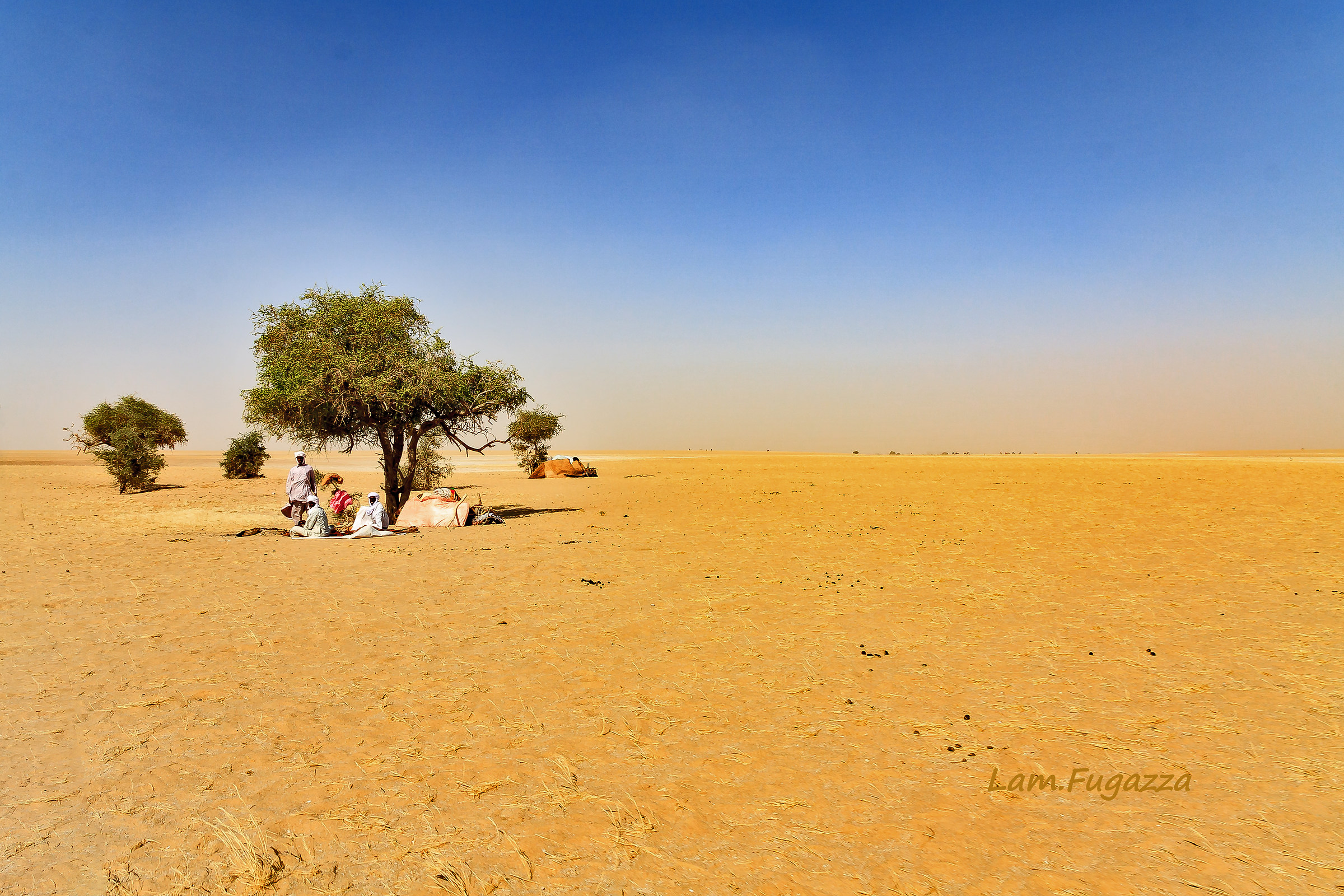 Tchad Desert
