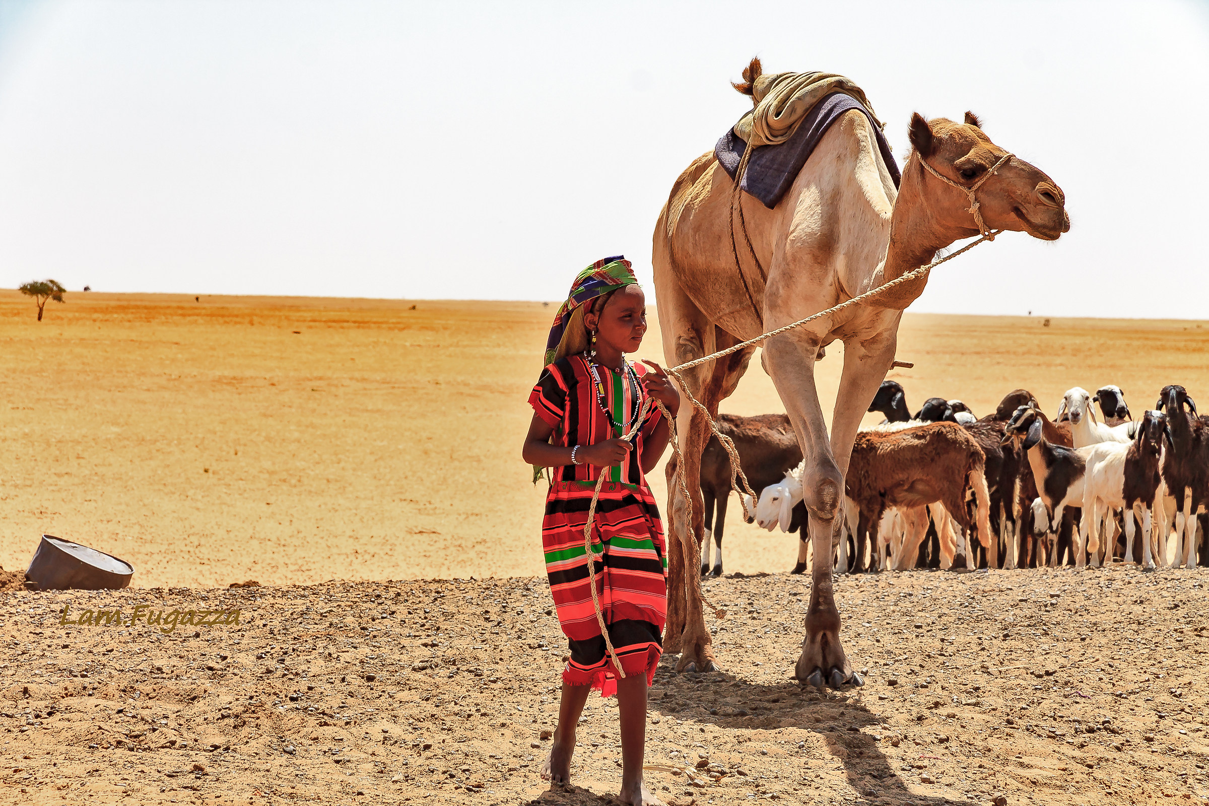 Tchad Desert