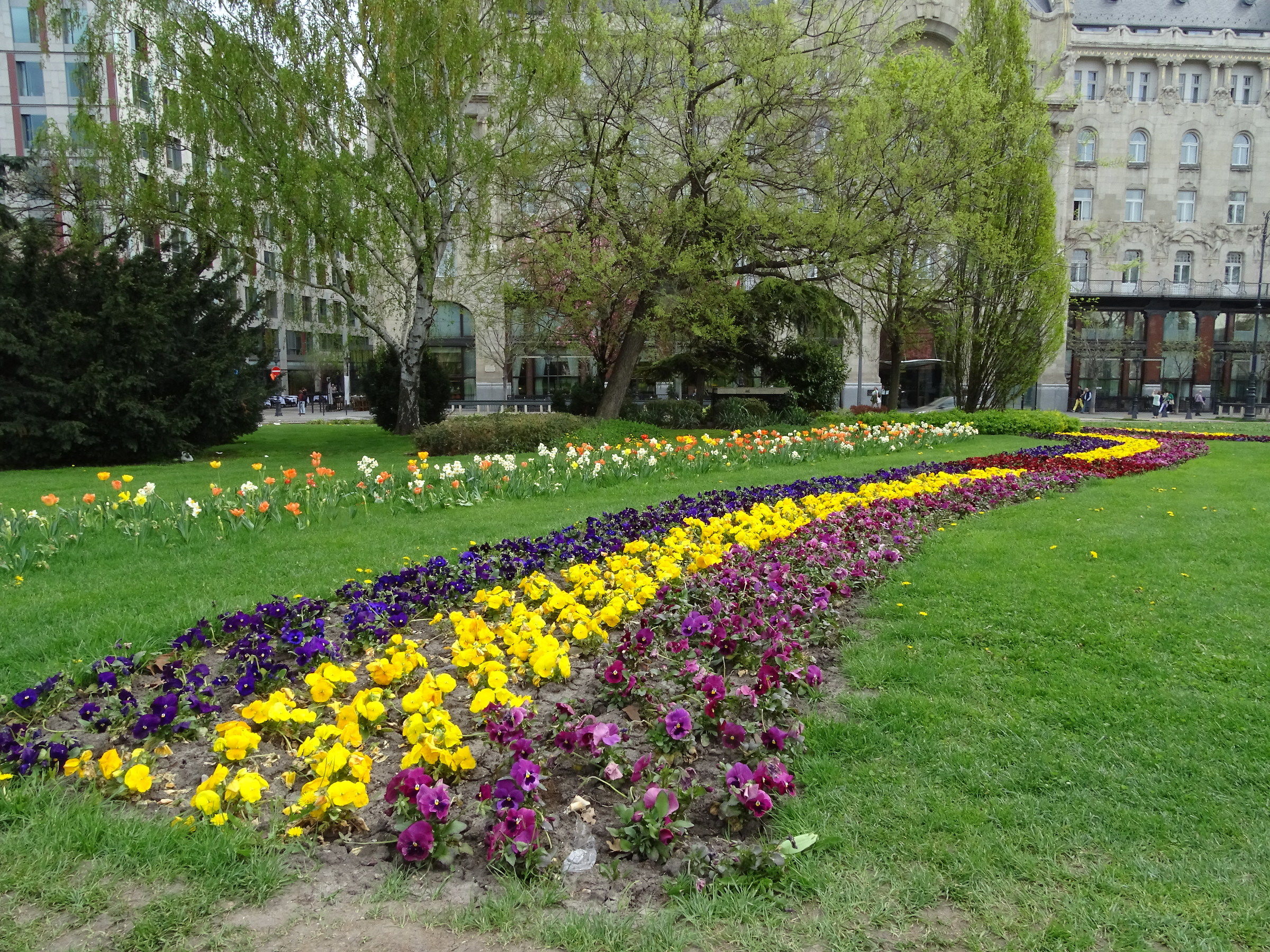 Colors