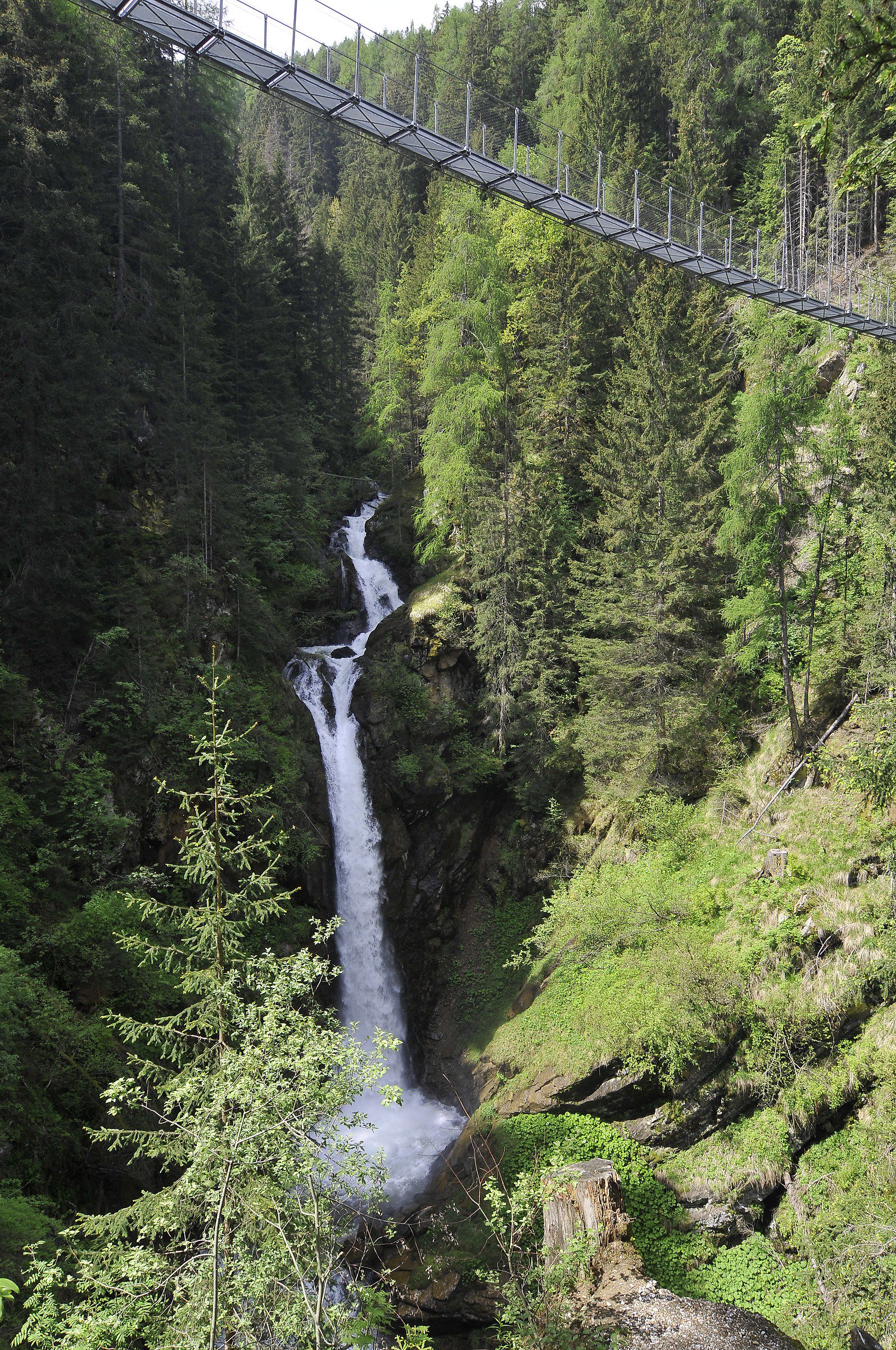 Tibetan Bridge-Val di Rabbi-TN