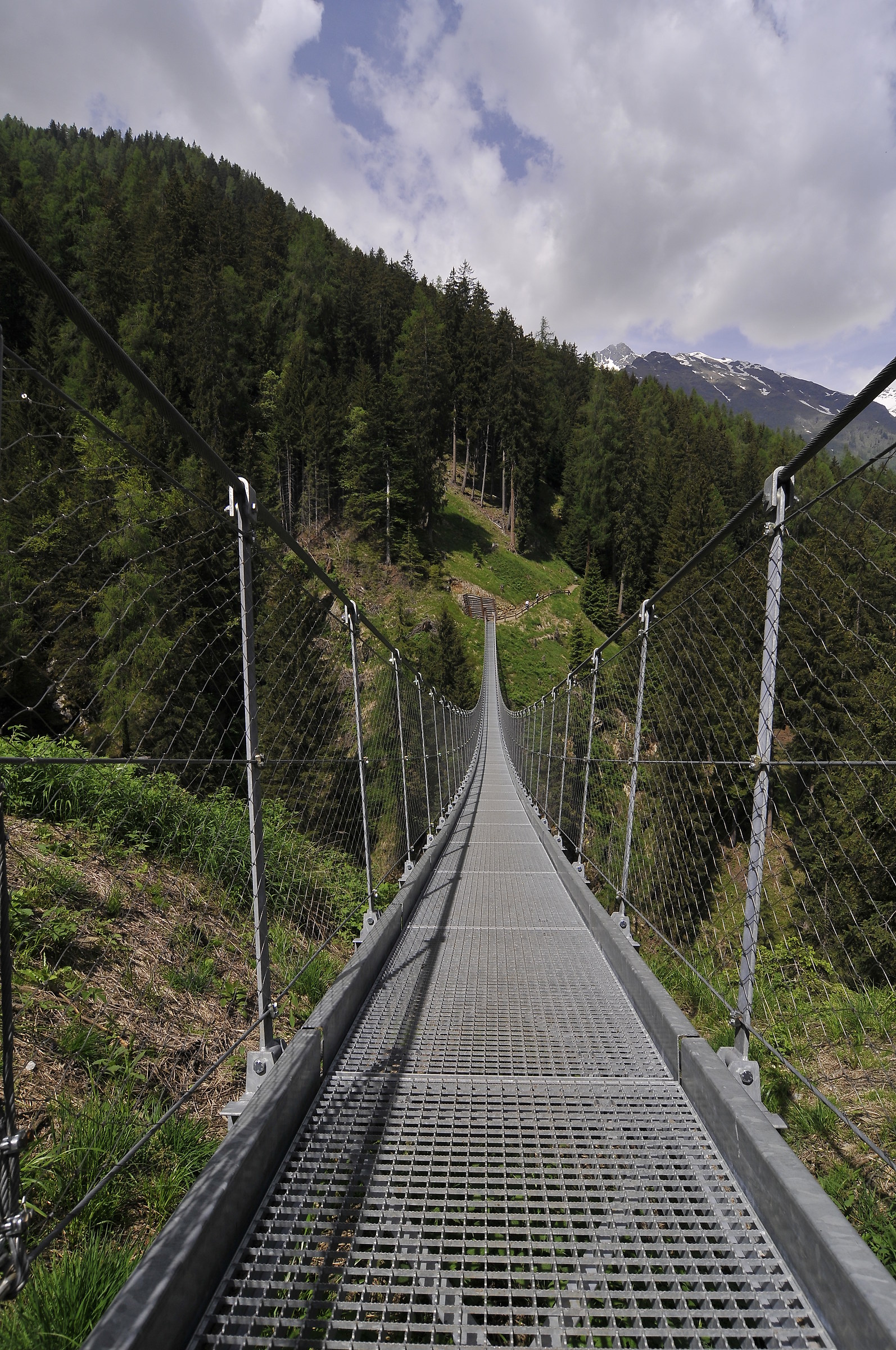 Tibetan Bridge-Val di Rabbi-TN