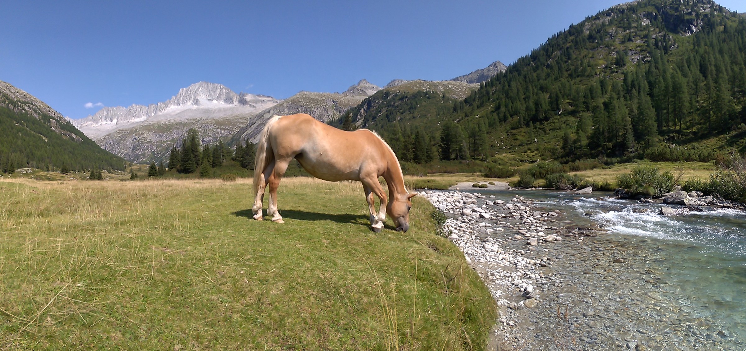 Grazing in the smoke Valley-TN