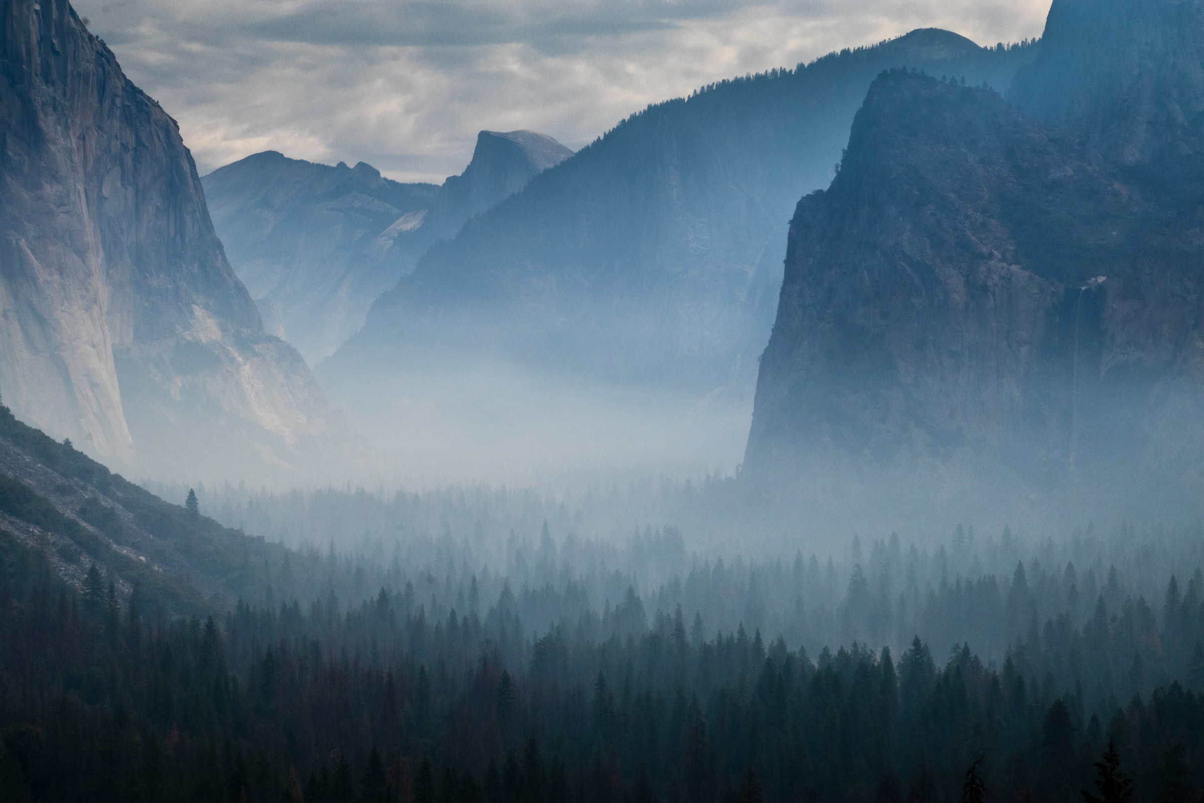 Nebbia allo Yosemite